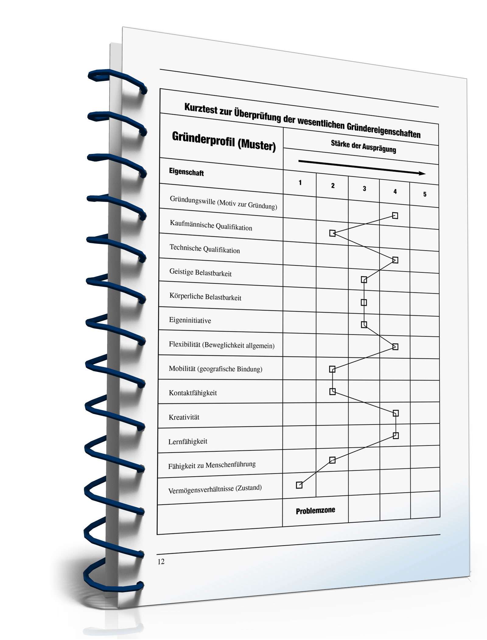 Businessplan erstellen PDF. Seite: 11