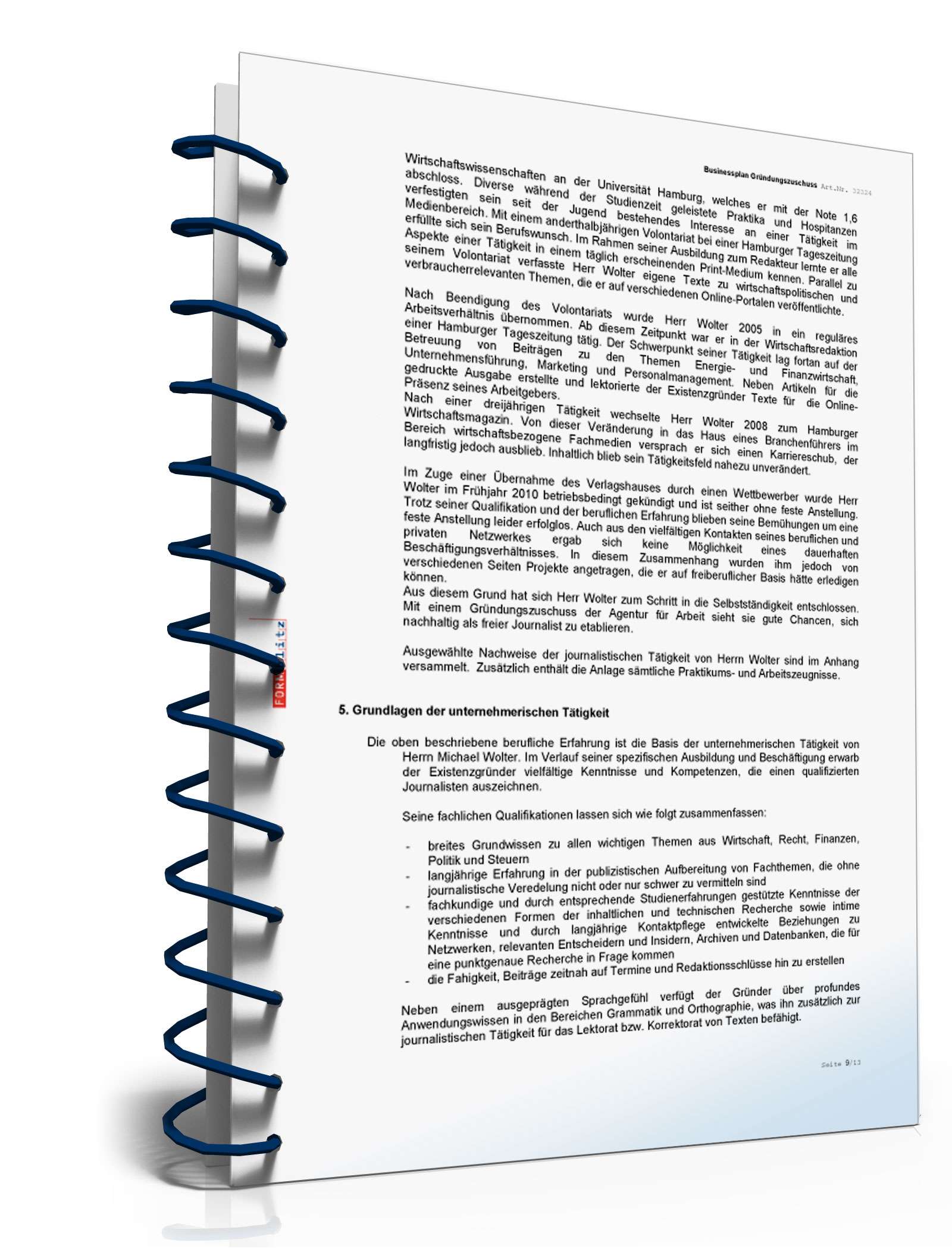 Businessplan für Freiberufler Excel. Seite: 11