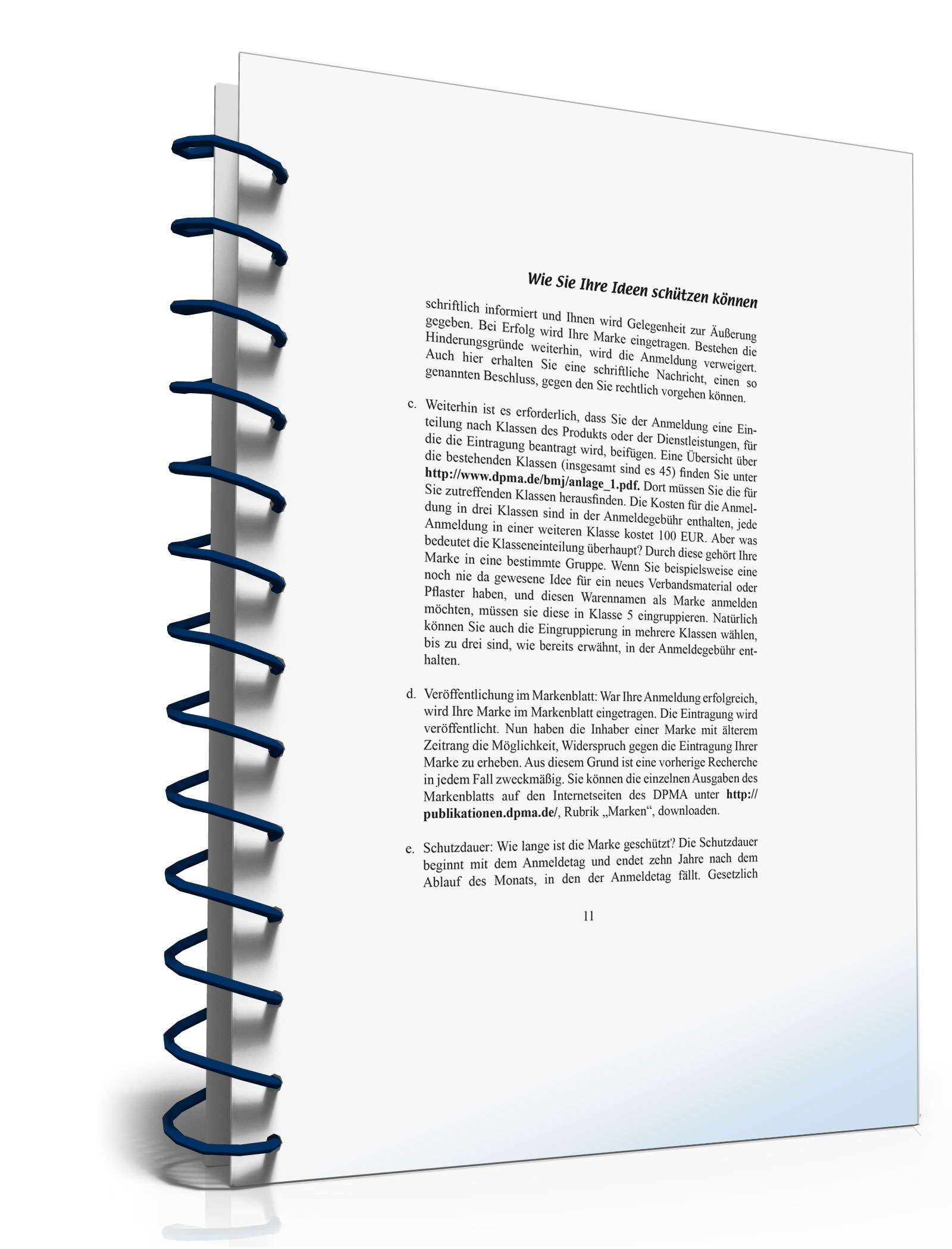 Wie Sie Ihre Ideen schützen können PDF. Seite: 11