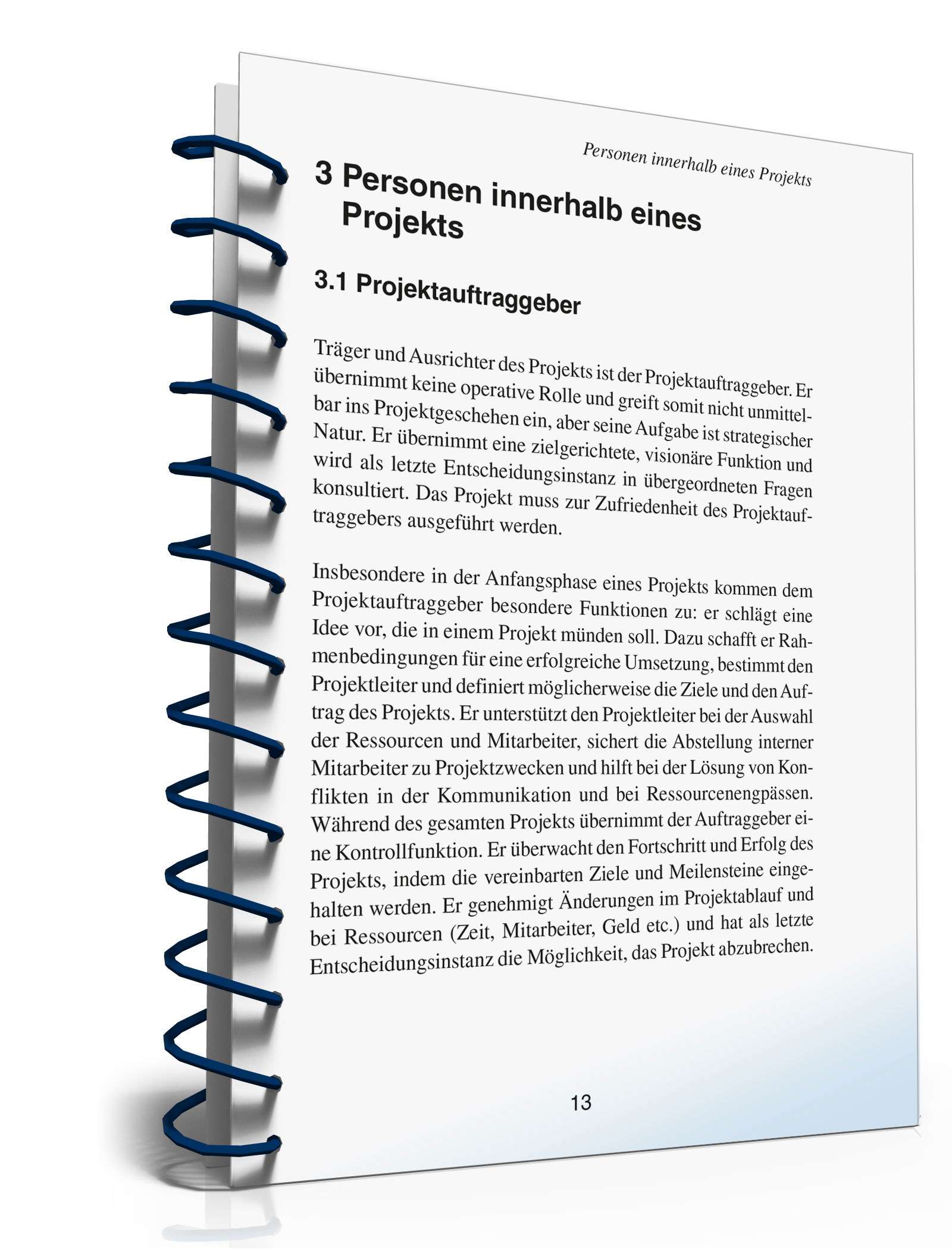 Projektmanagement in der Praxis PDF. Seite: 12