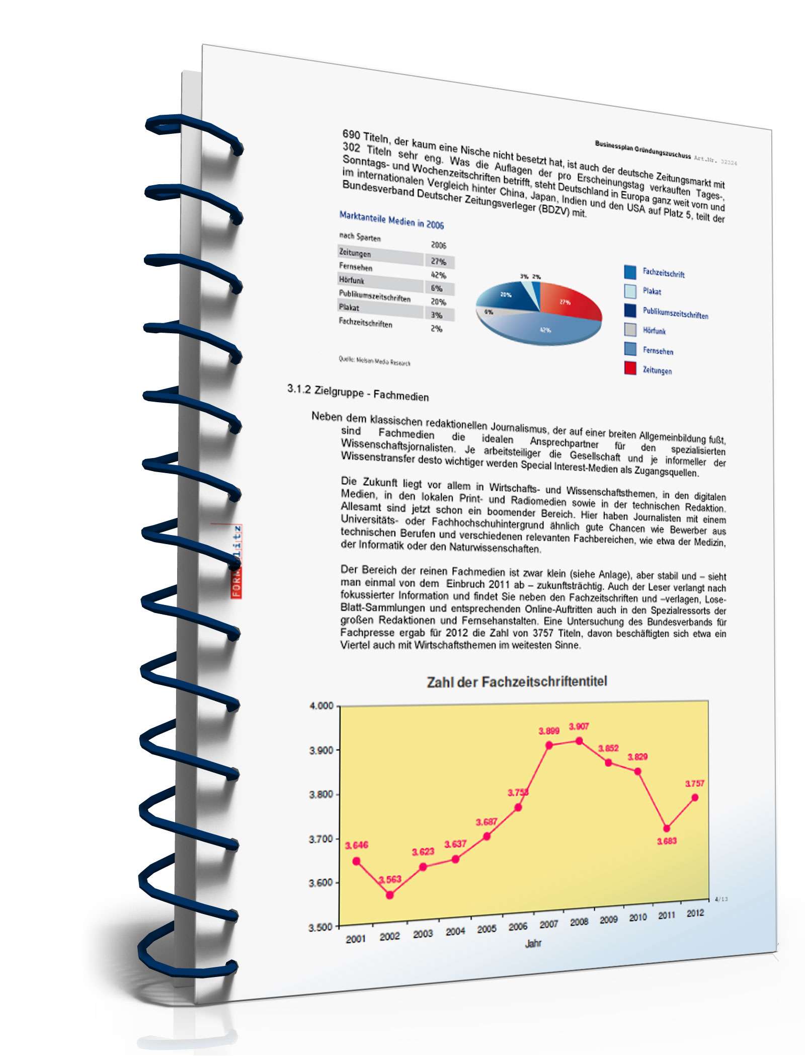 Businessplan für Freiberufler Excel. Seite: 6