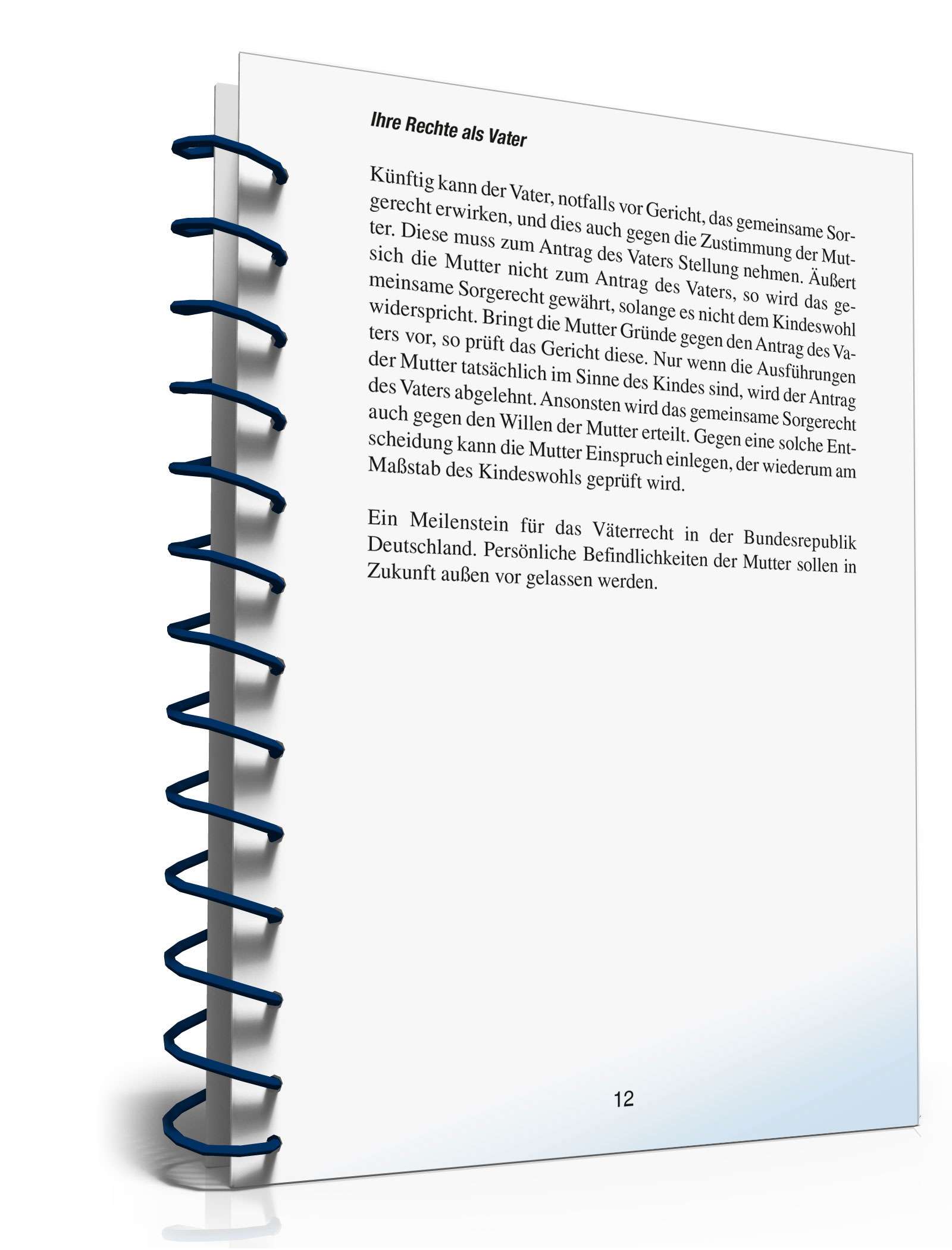 Ihre Rechte als Vater PDF. Seite: 11