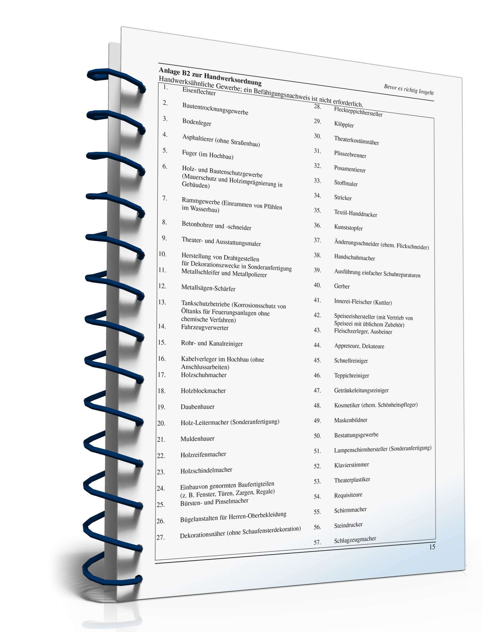 Ratgeber Unternehmensgründung PDF. Seite: 15