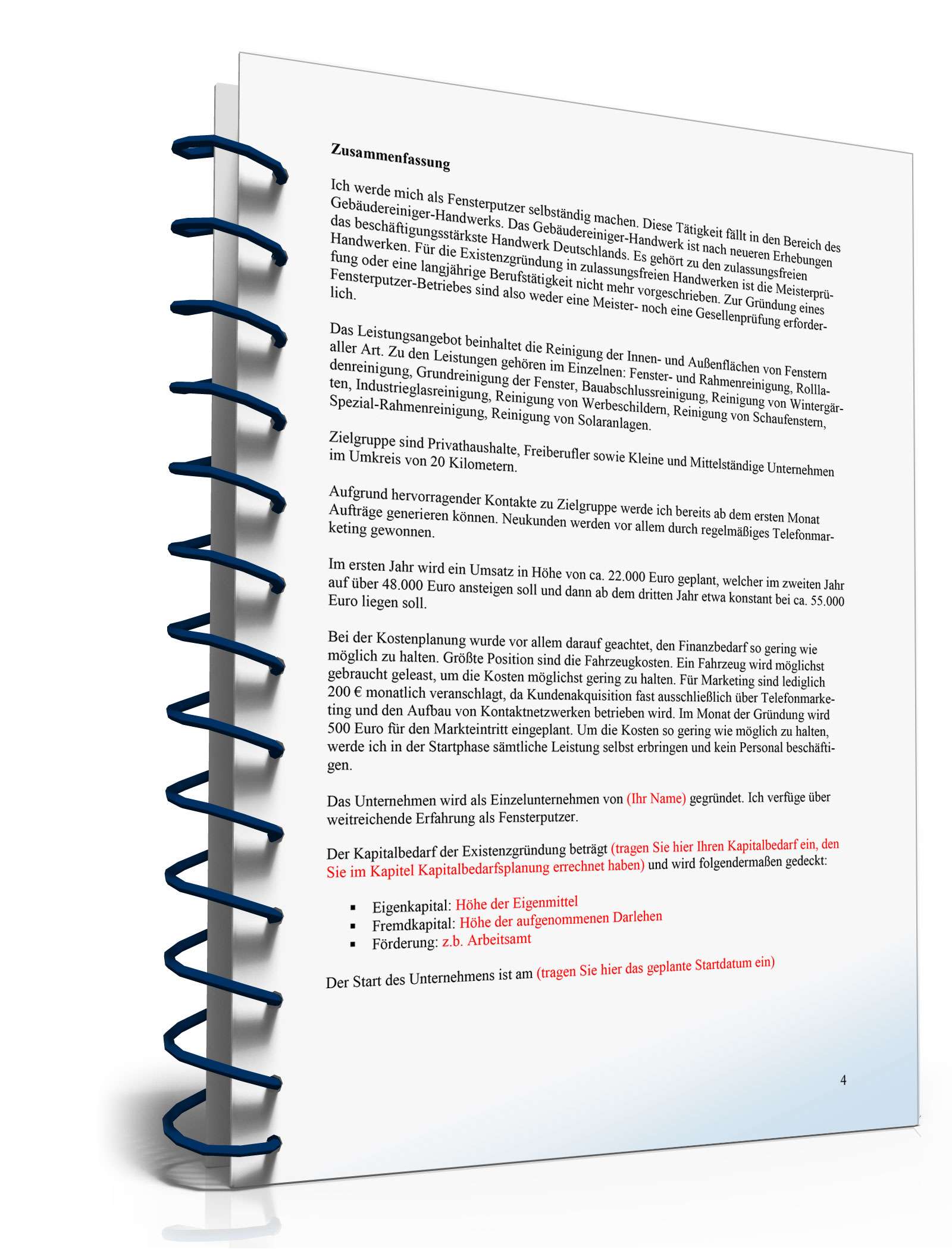 Businessplan Fensterputzer von Gründerplan Excel. Seite: 3