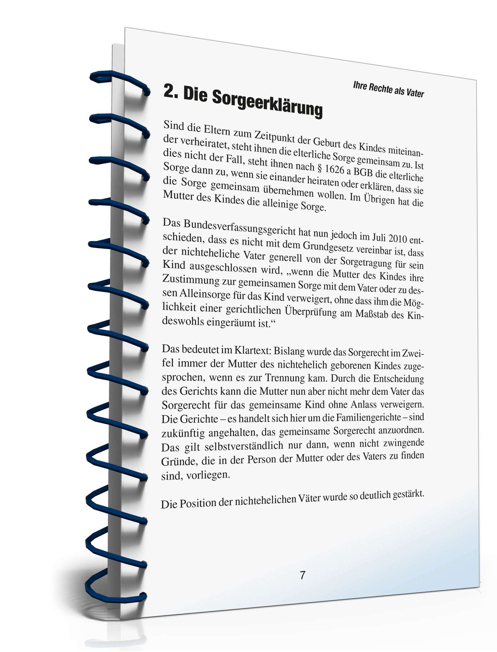 Ihre Rechte als Vater PDF. Seite: 6