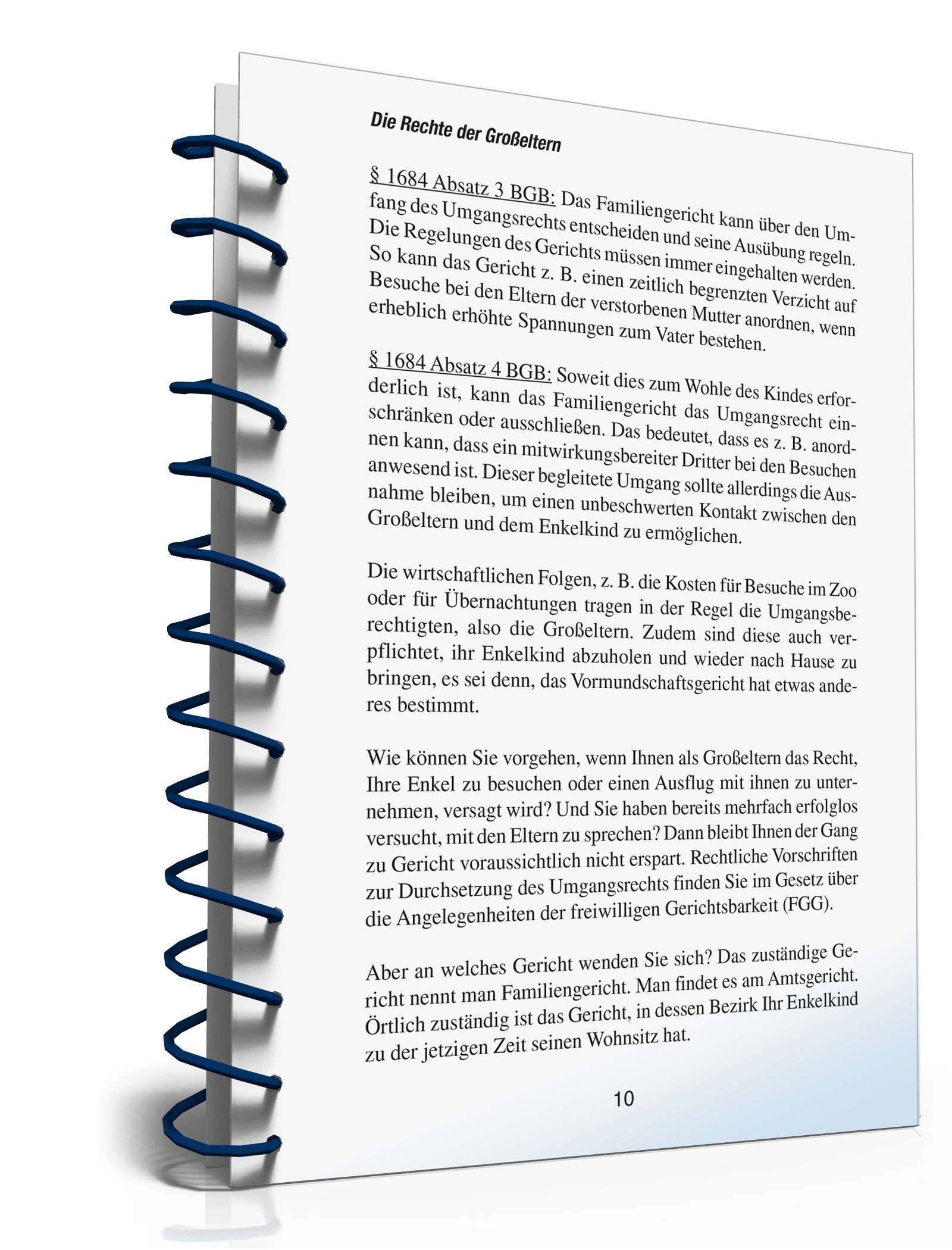 Ratgeber Recht Großeltern PDF. Seite: 9