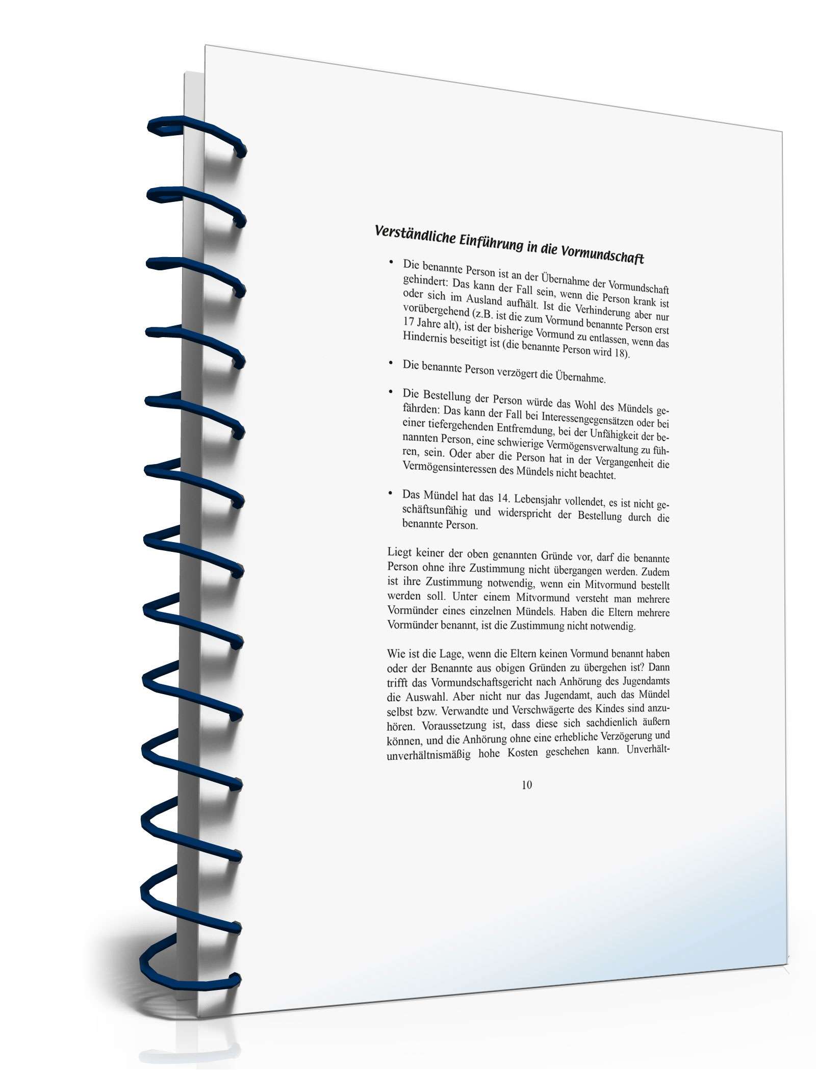 Ratgeber Vormundschaft PDF. Seite: 10