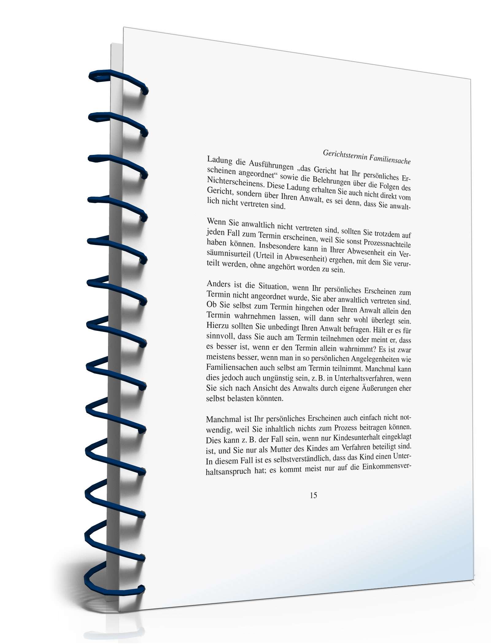 Ratgeber Gerichtstermin Familiensache PDF. Seite: 15