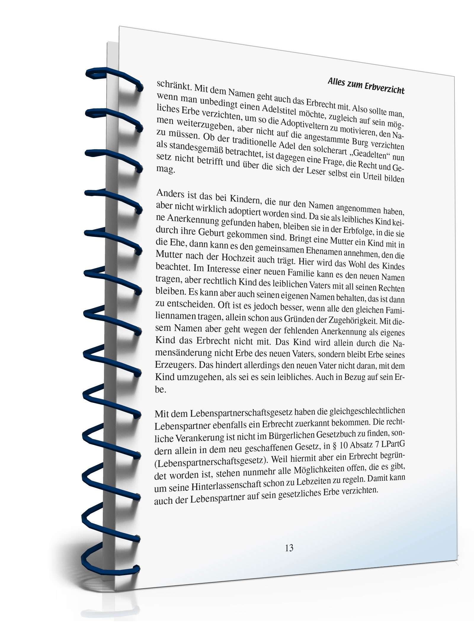 Ratgeber Erbverzicht PDF. Seite: 12