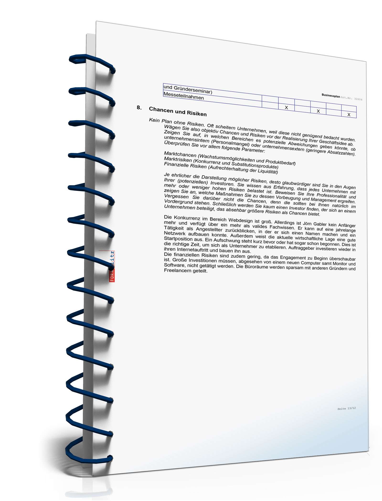 Businessplan Webdesign Excel. Seite: 13