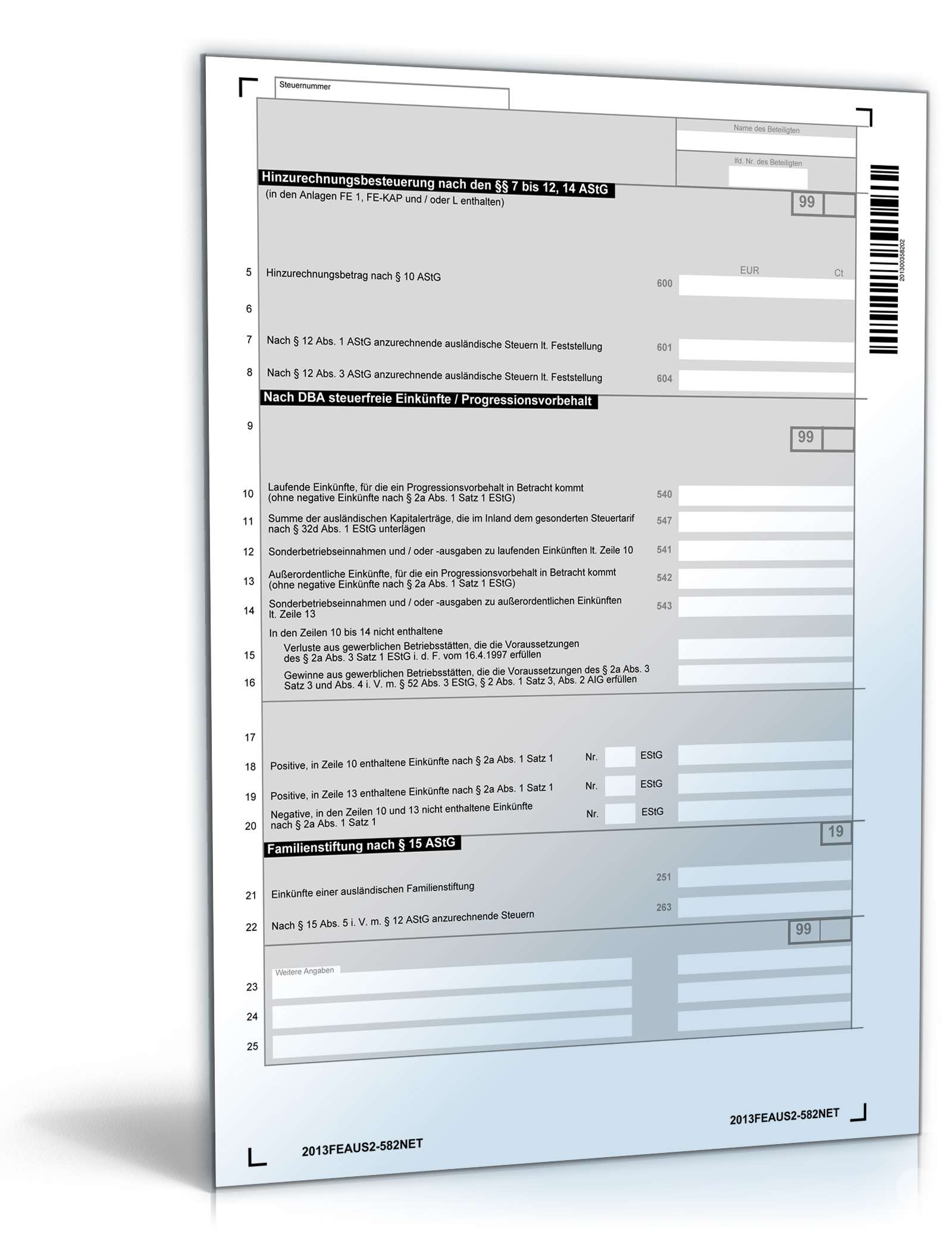 Anlage FE-AUS2 2013 PDF. Seite: 2