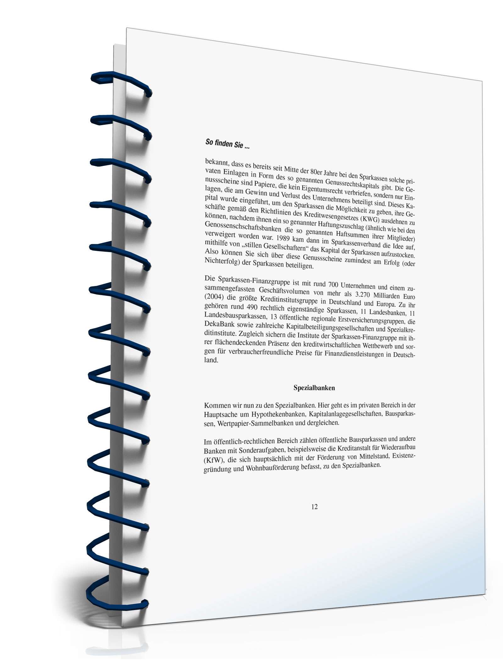 Ratgeber Auswahl Kreditinstitut  PDF. Seite: 10