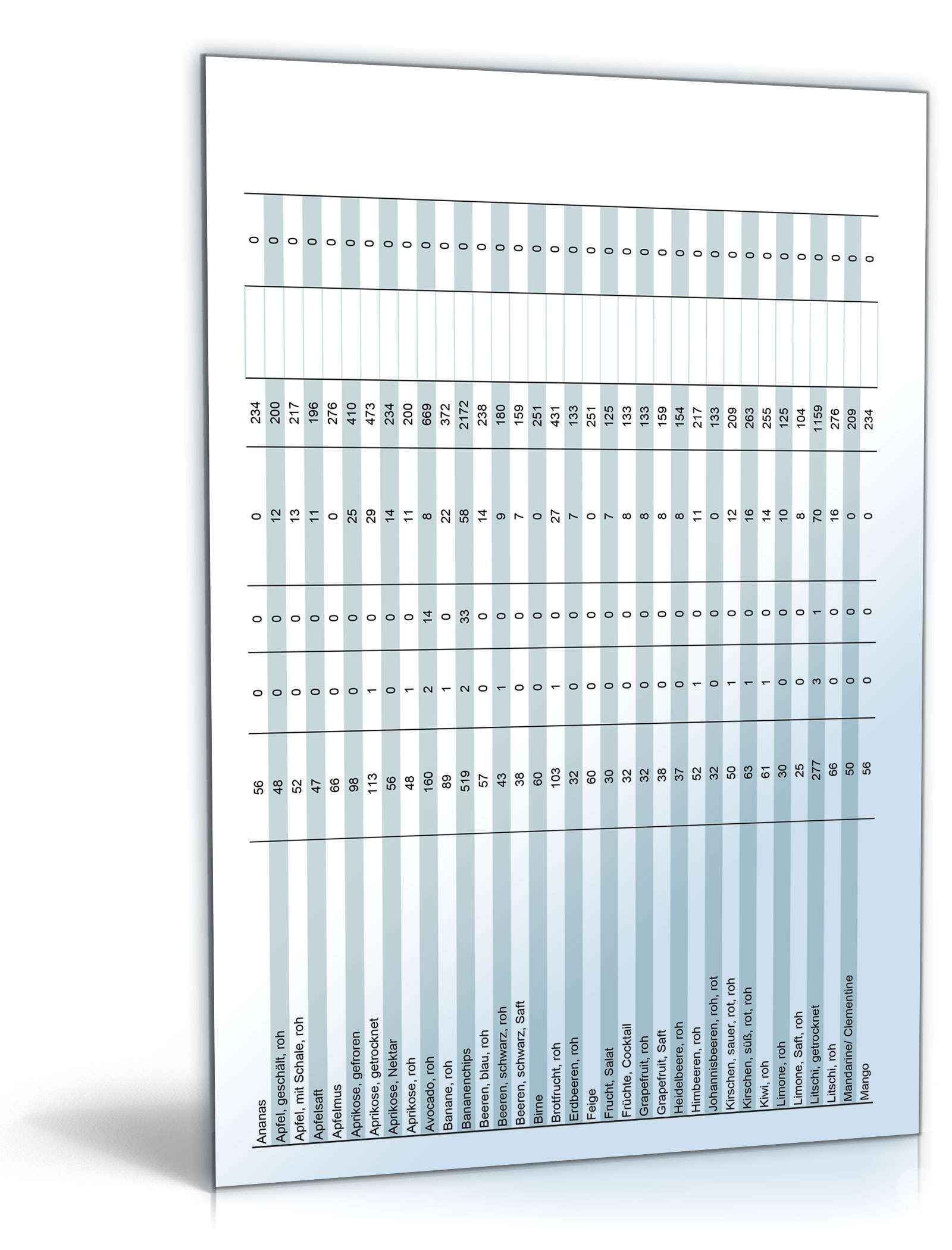 Diät-Rechner Excel. Seite: 13