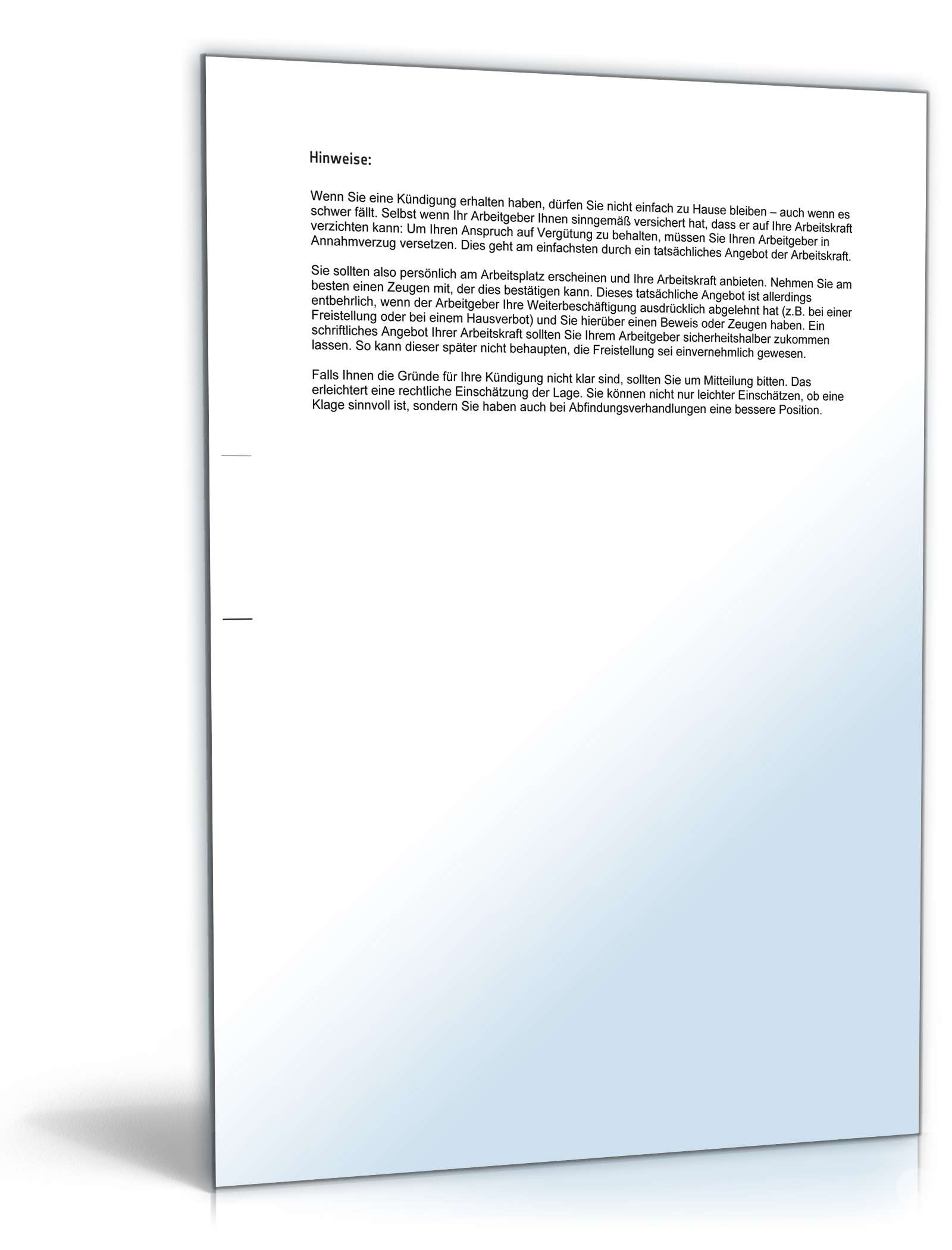 Angebot Arbeitskraft nach Kündigung PDF. Seite: 3