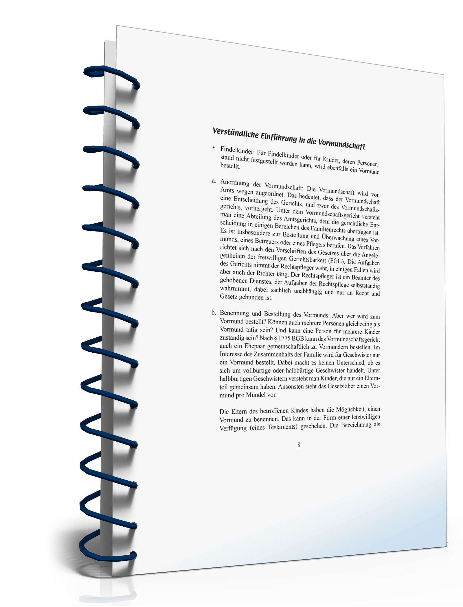 Ratgeber Vormundschaft PDF. Seite: 8