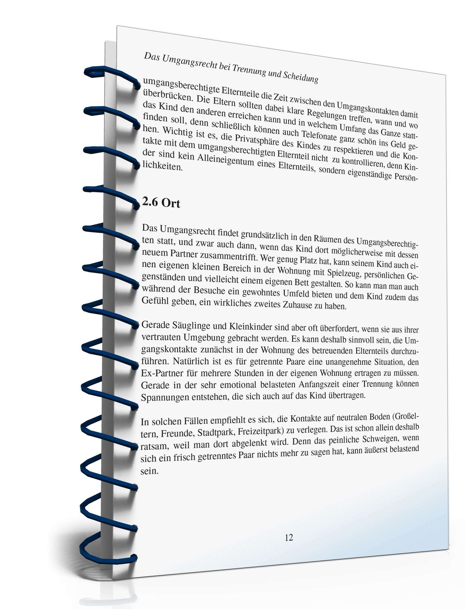 Ratgeber Umgangsrecht Trennung/Scheidung PDF. Seite: 11