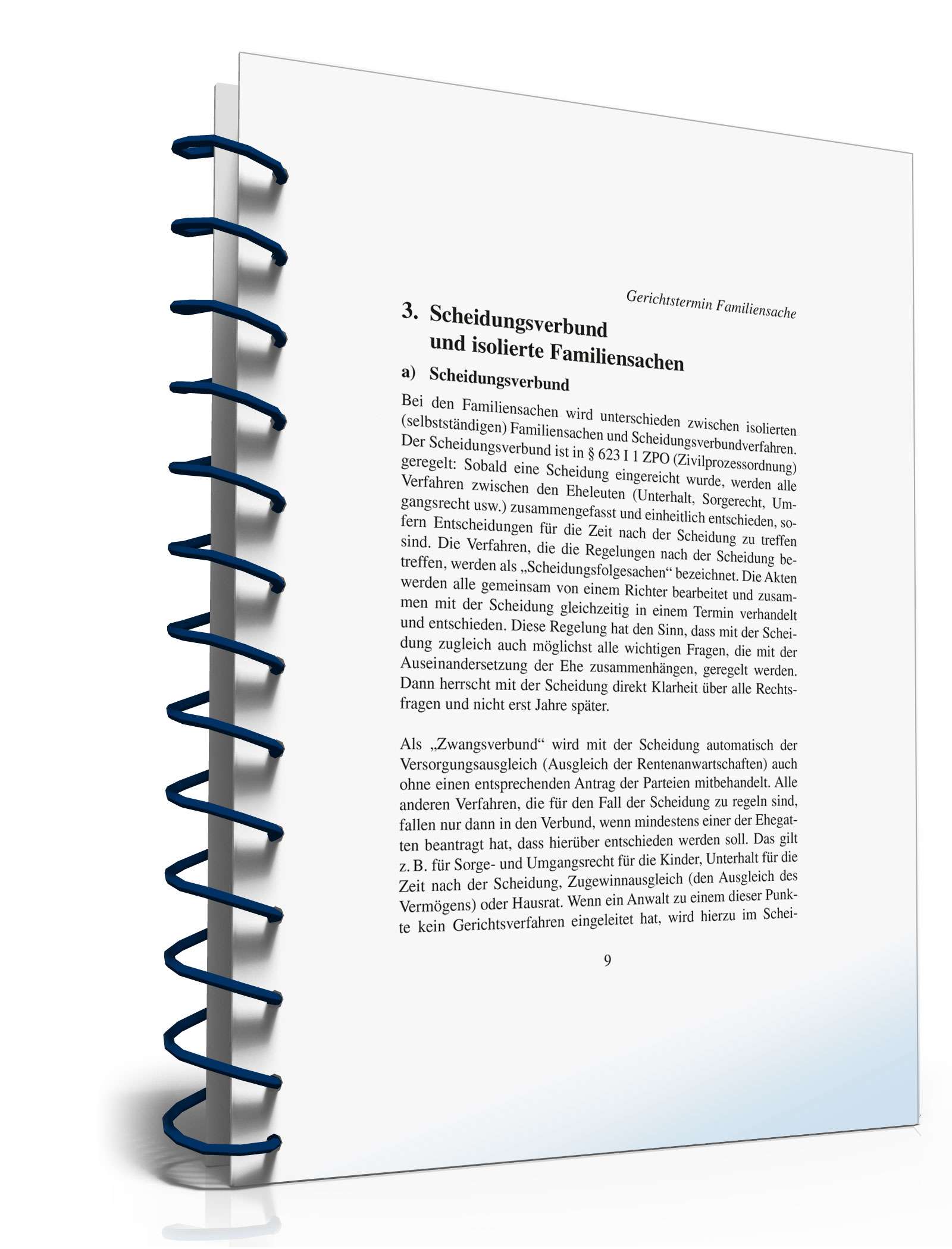 Ratgeber Gerichtstermin Familiensache PDF. Seite: 9