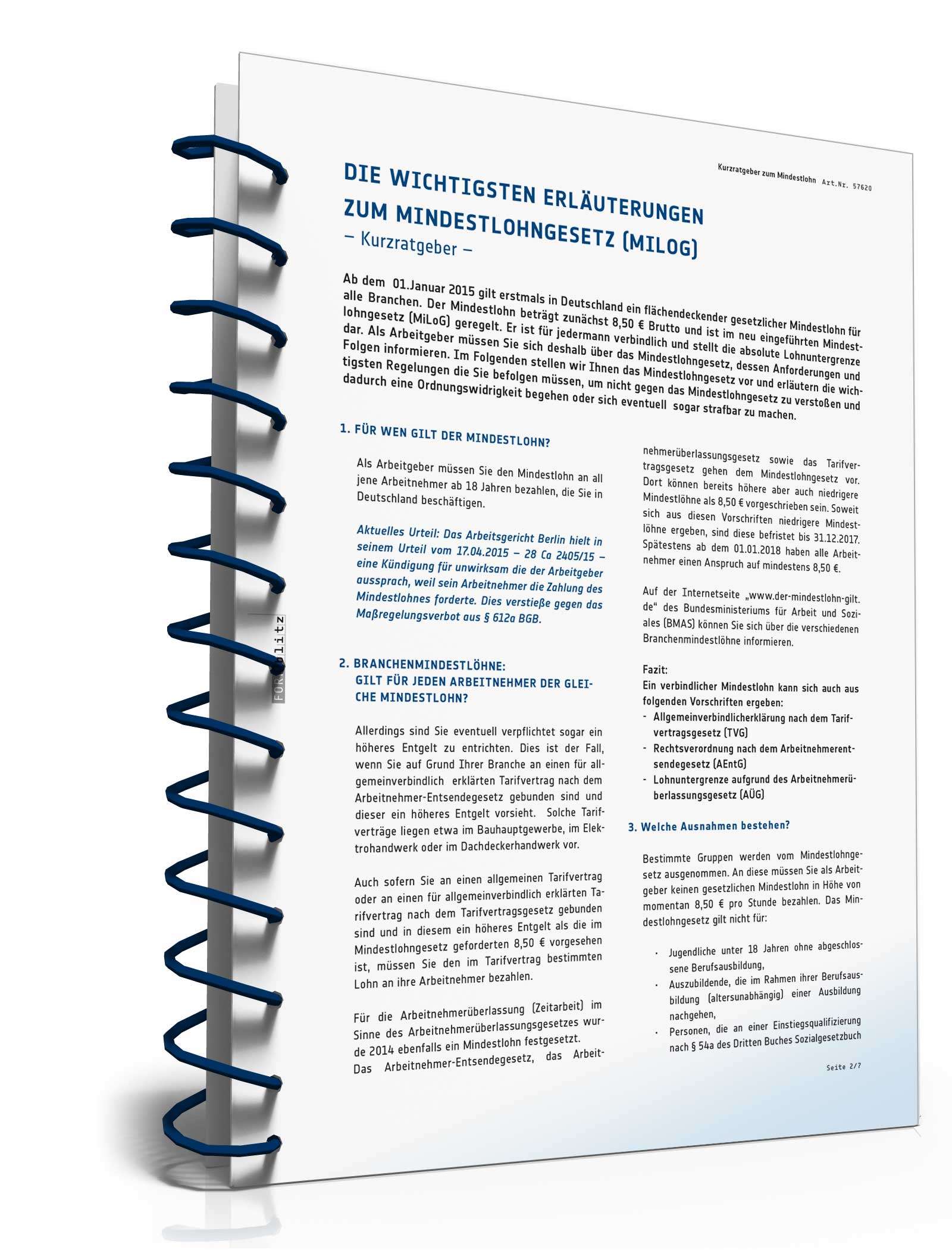 Die wichtigsten Erläuterungen zum MiLoG PDF. Seite: 3
