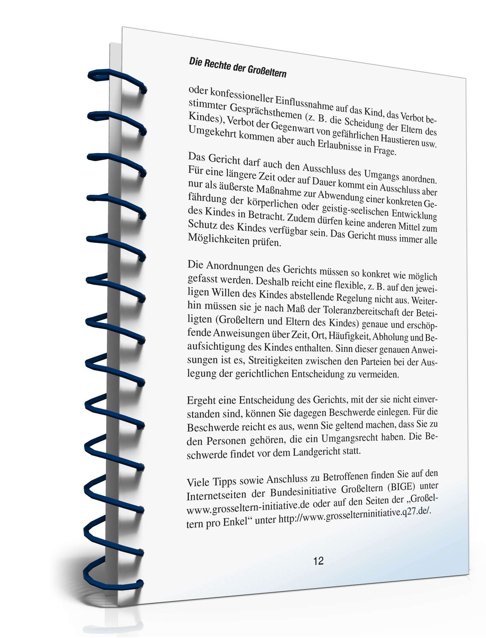 Ratgeber Recht Großeltern PDF. Seite: 11