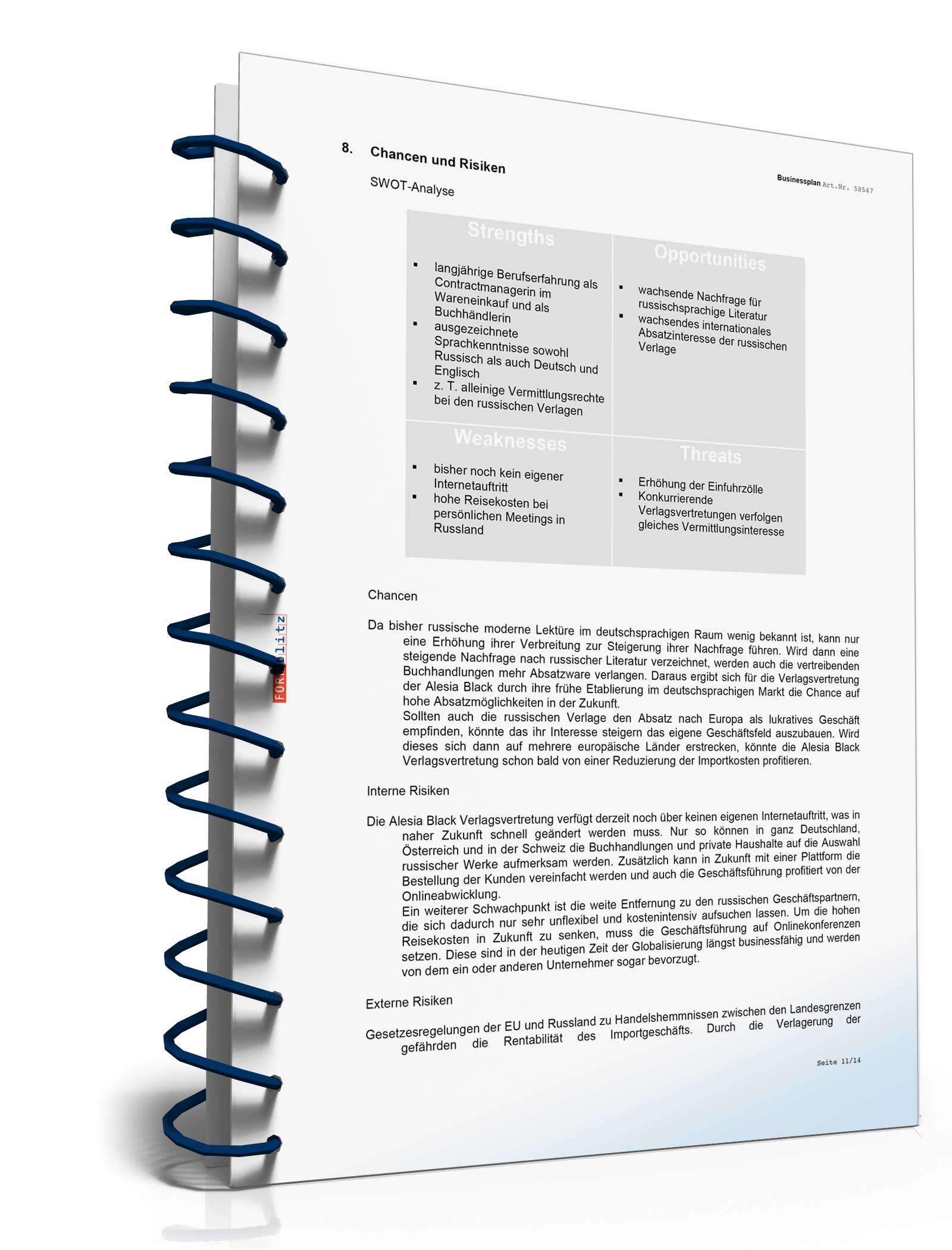 Businessplan Verlagsvertretung Excel. Seite: 6