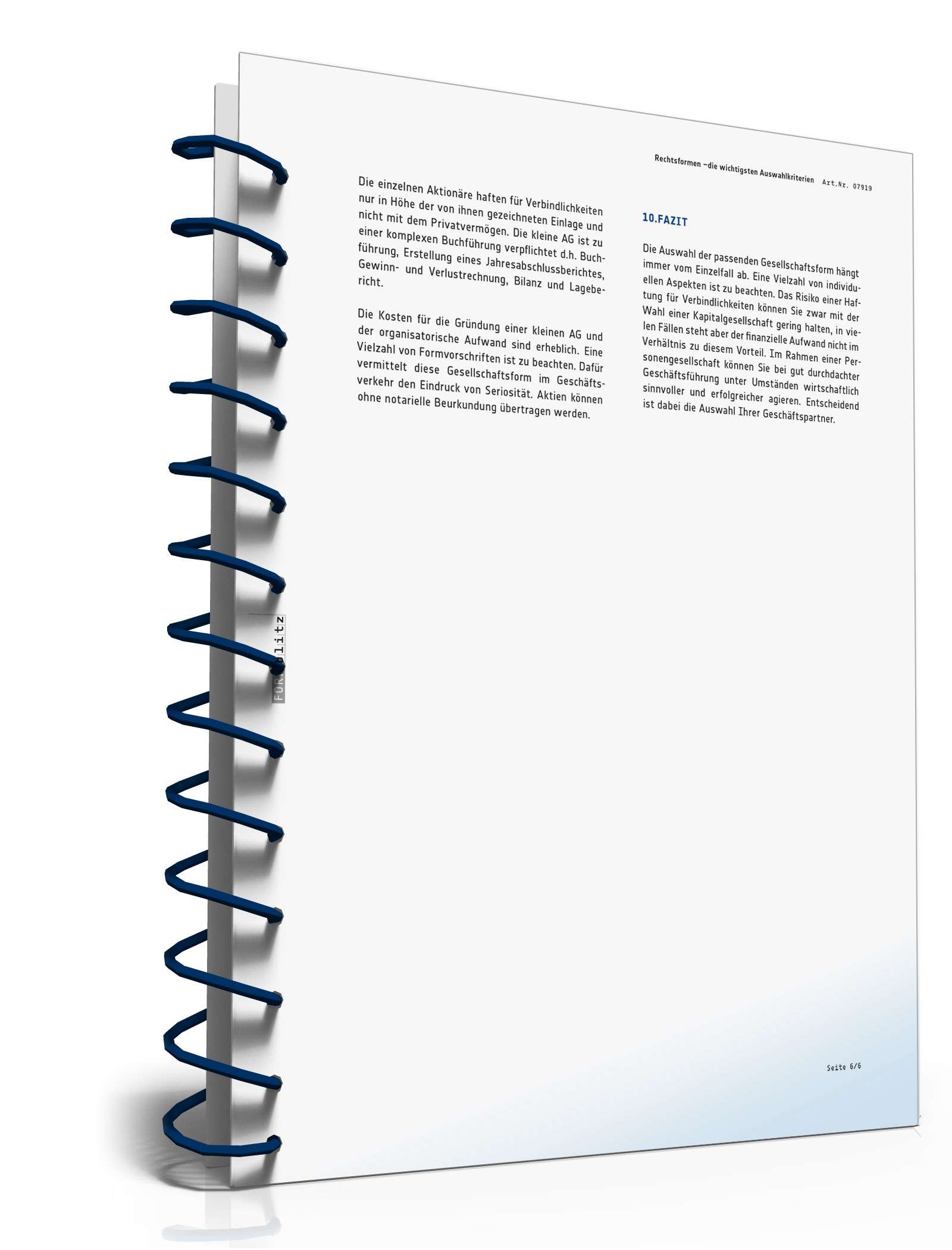 Ratgeber Auswahlkriterien Rechtsform  PDF. Seite: 7