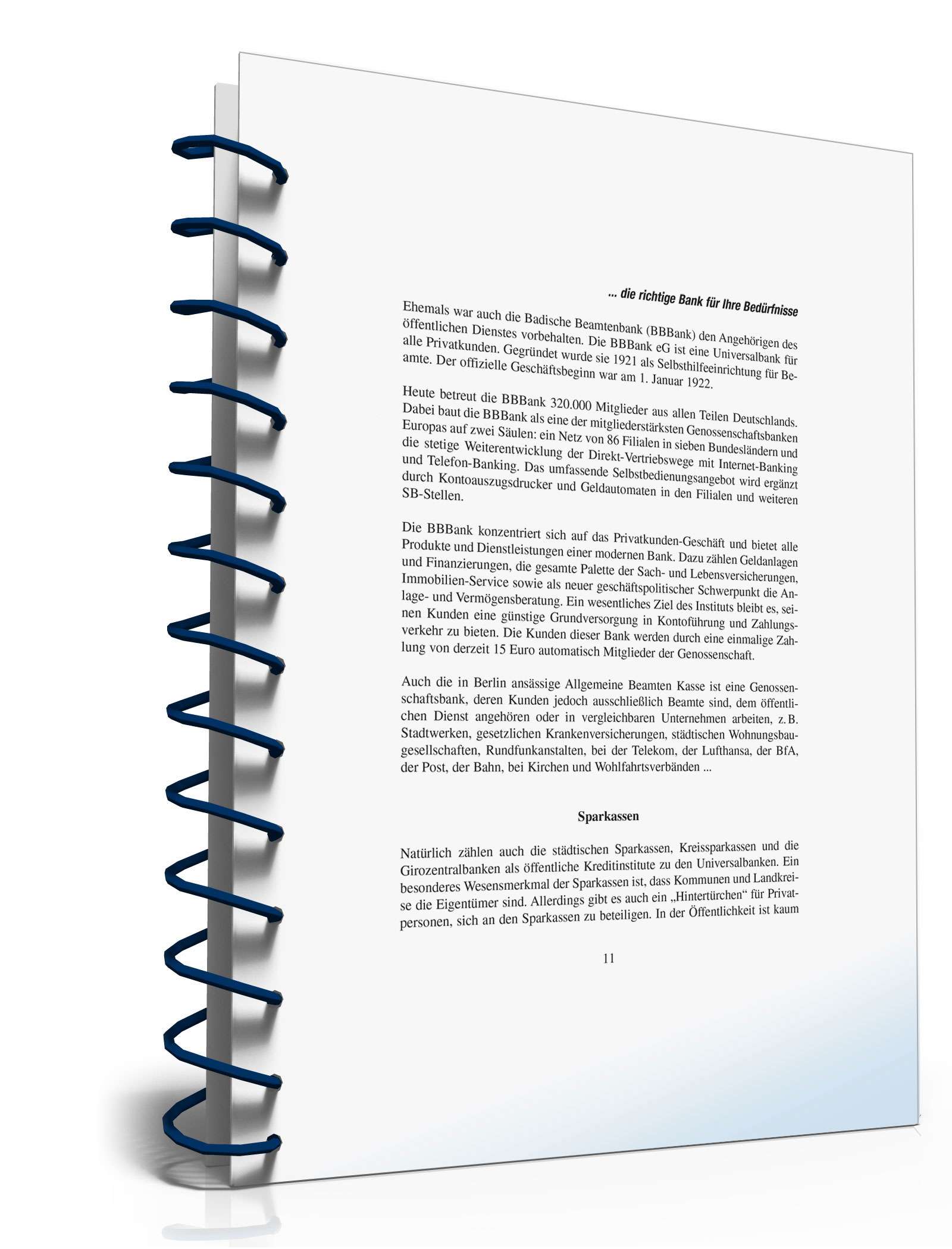 Ratgeber Auswahl Kreditinstitut  PDF. Seite: 9