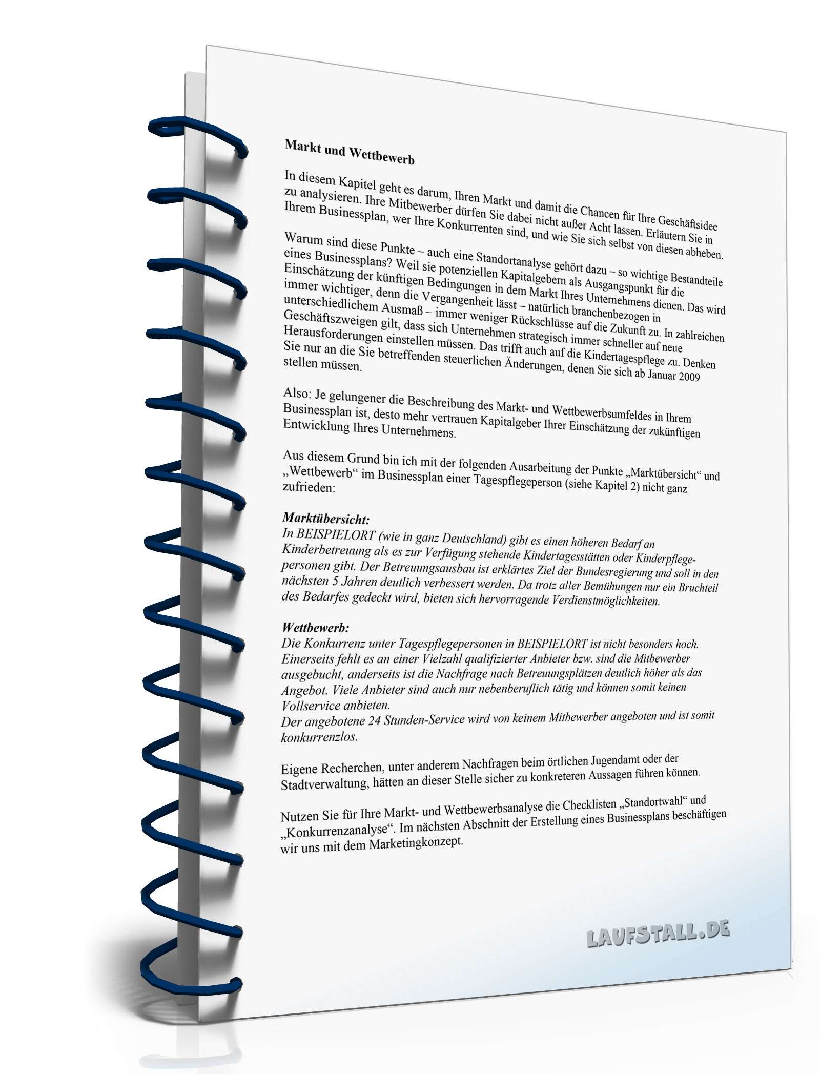 Ratgeber Businessplan Tageseltern PDF. Seite: 10