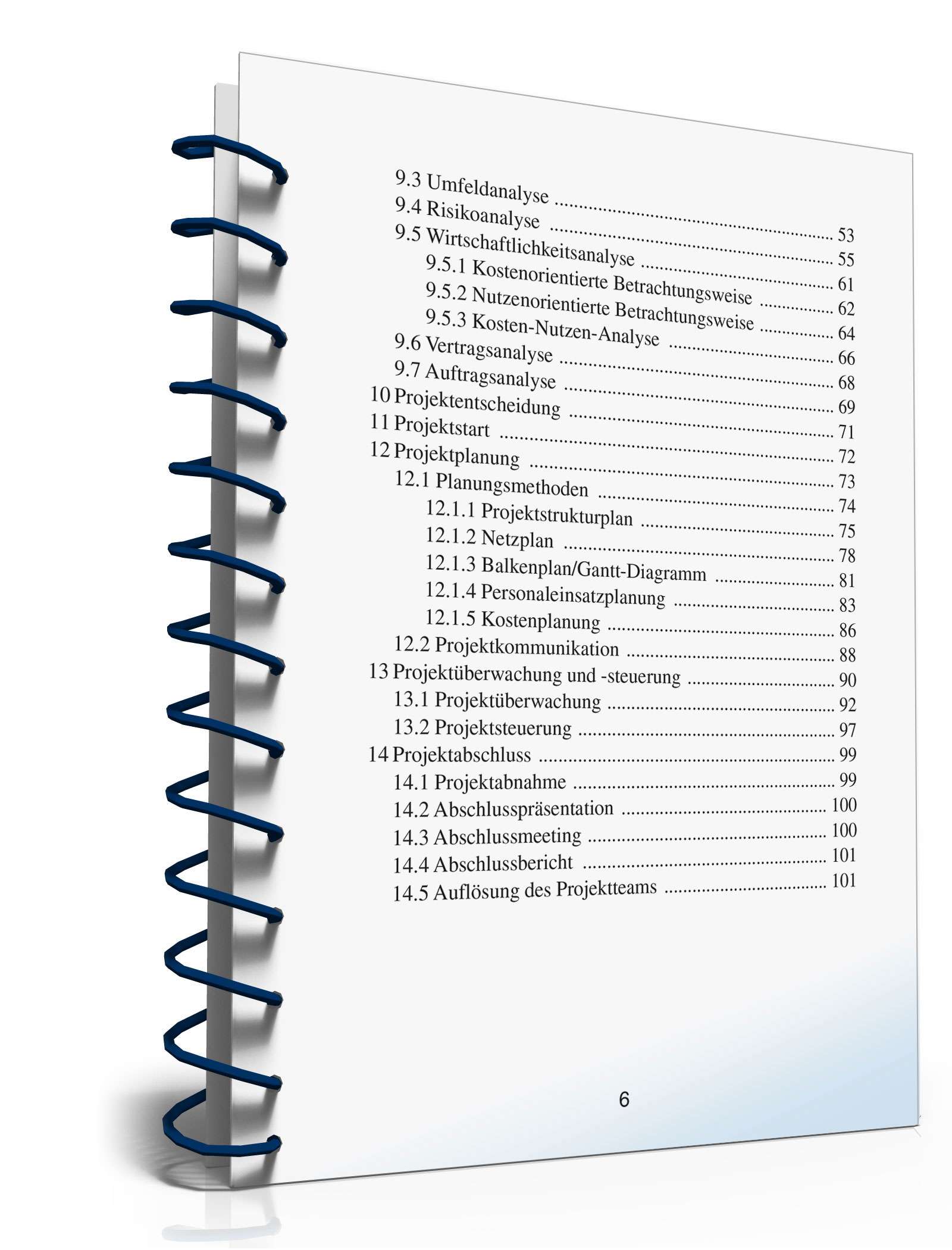 Projektmanagement in der Praxis PDF. Seite: 6