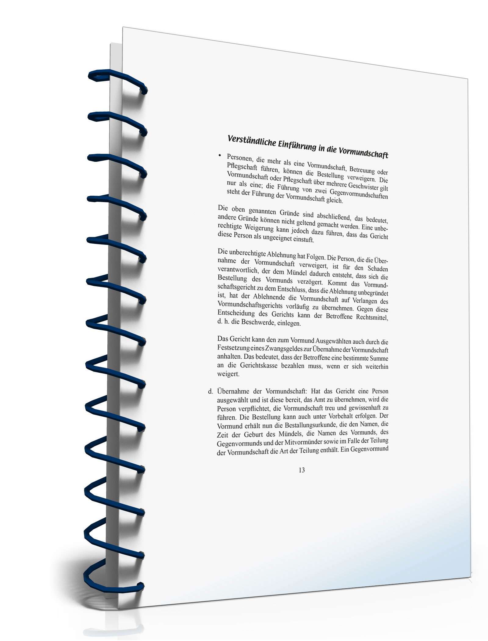 Ratgeber Vormundschaft PDF. Seite: 13