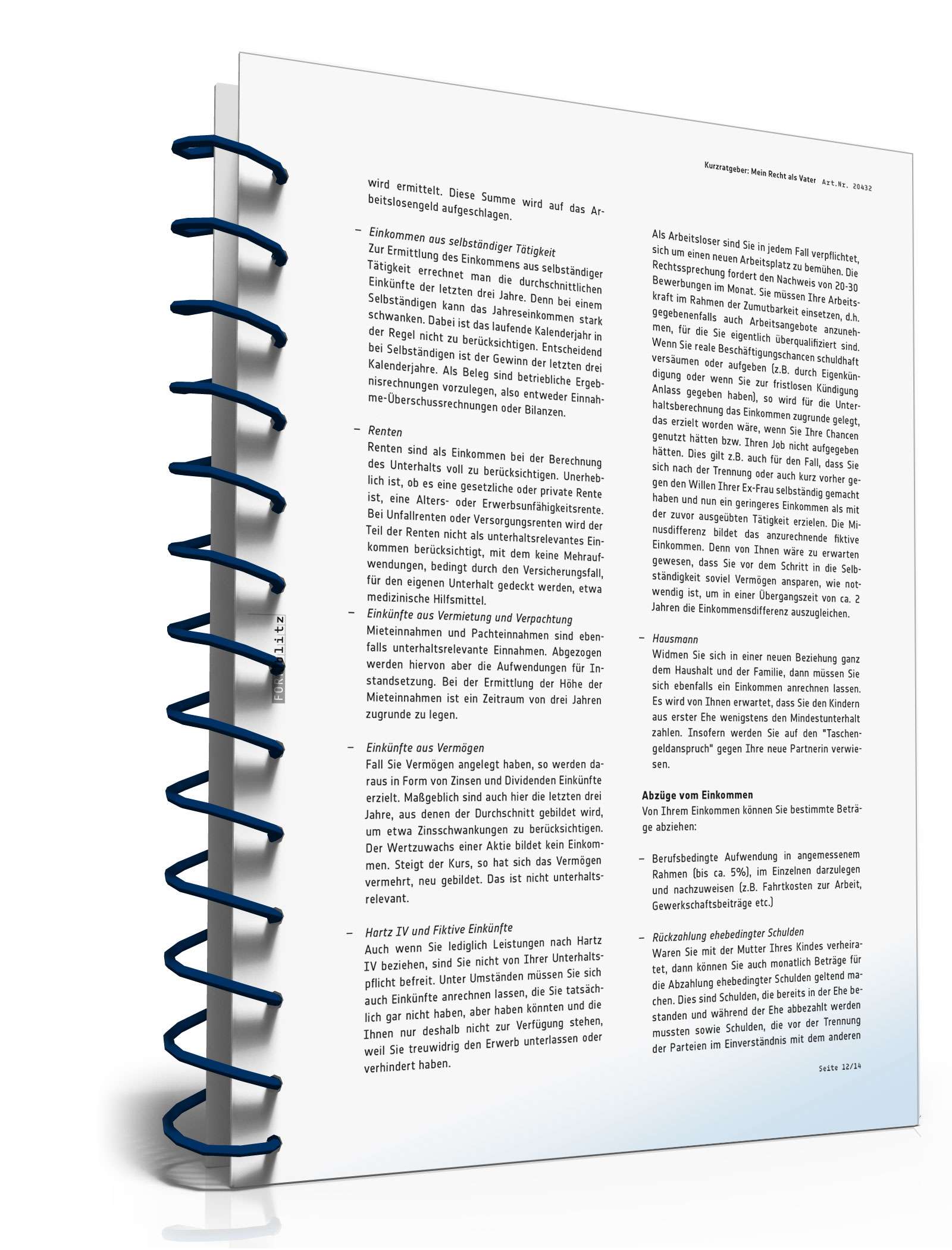 Mein Recht als Vater PDF. Seite: 12