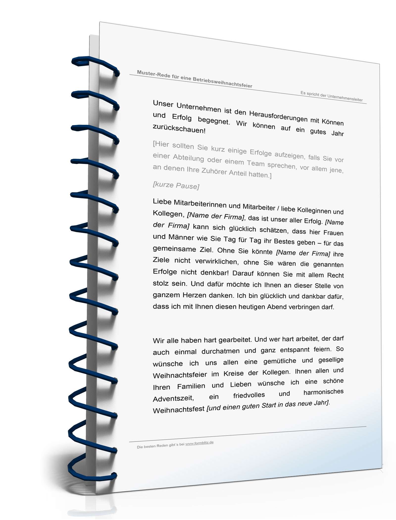 Das Weihnachtsfeier-Paket Excel. Seite: 17