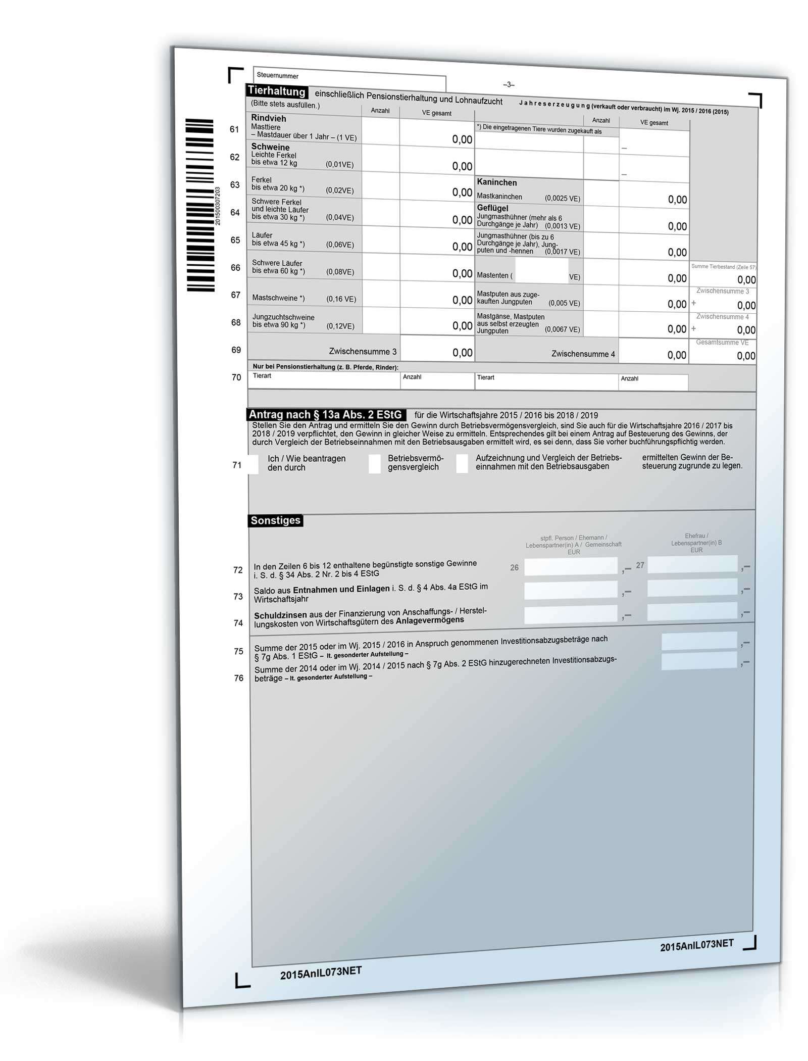 Anlage L 2015 PDF. Seite: 3