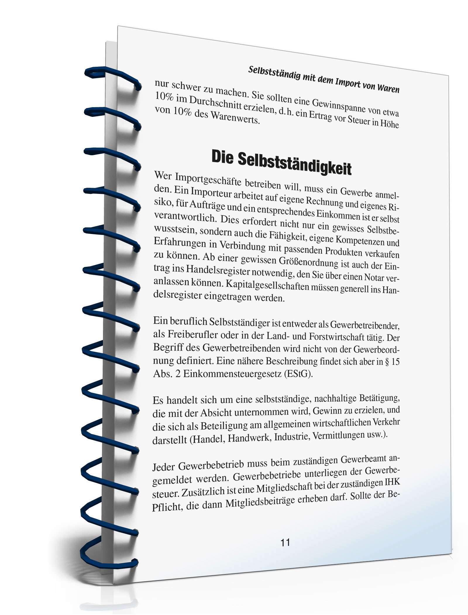 Selbstständig mit Warenimport PDF. Seite: 10