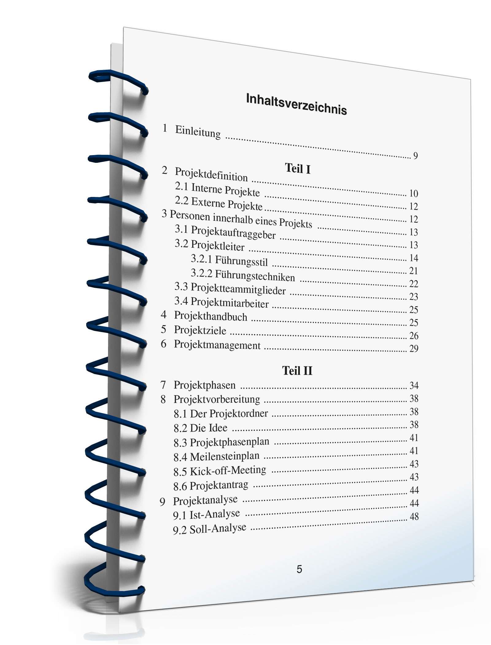 Projektmanagement in der Praxis PDF. Seite: 5