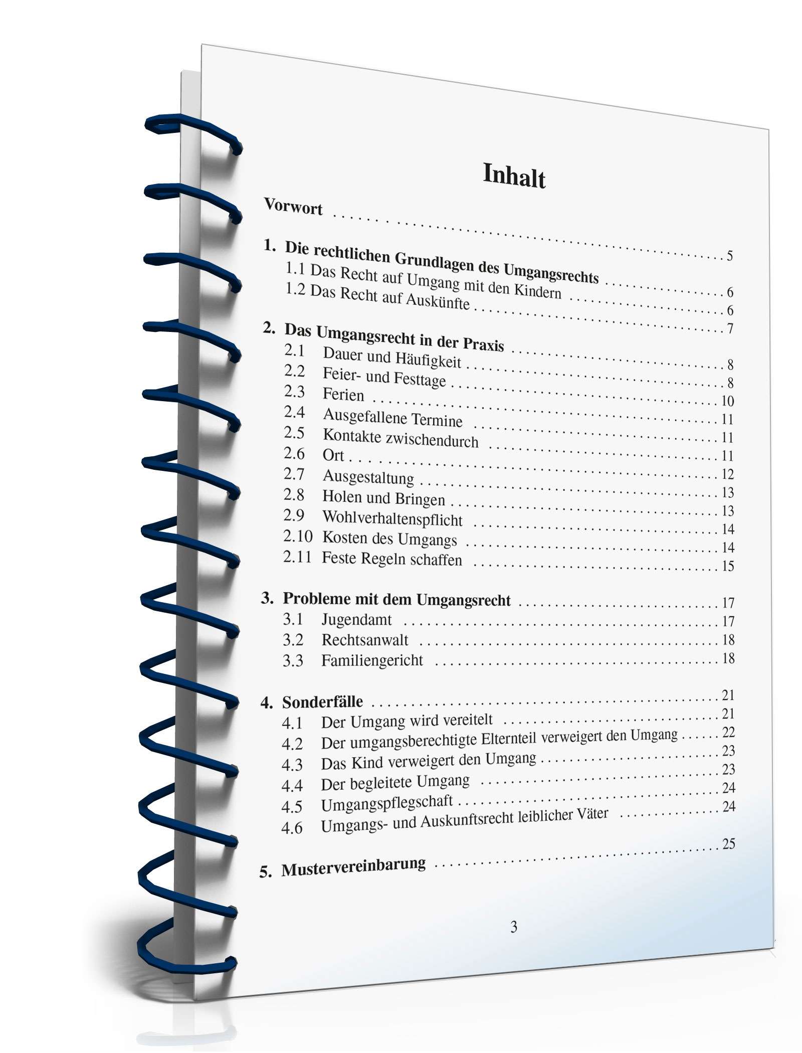 Ratgeber Umgangsrecht Trennung/Scheidung PDF. Seite: 3