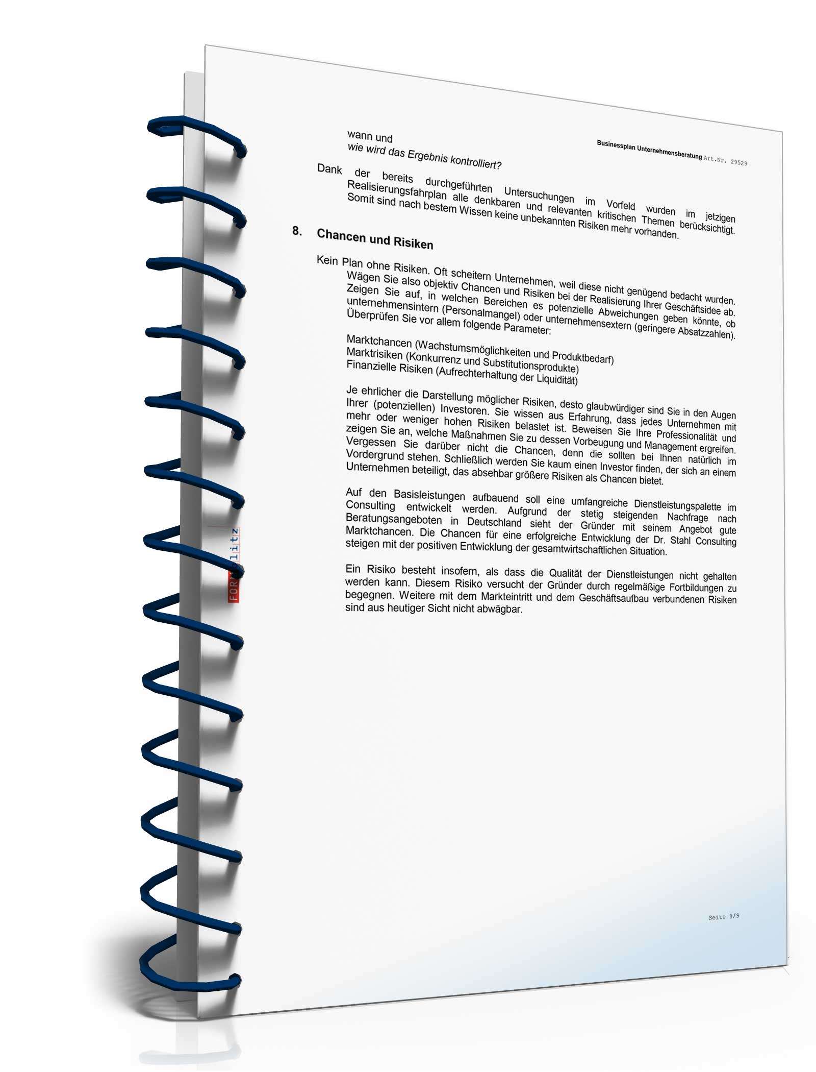 Businessplan Unternehmensberatung Excel. Seite: 14