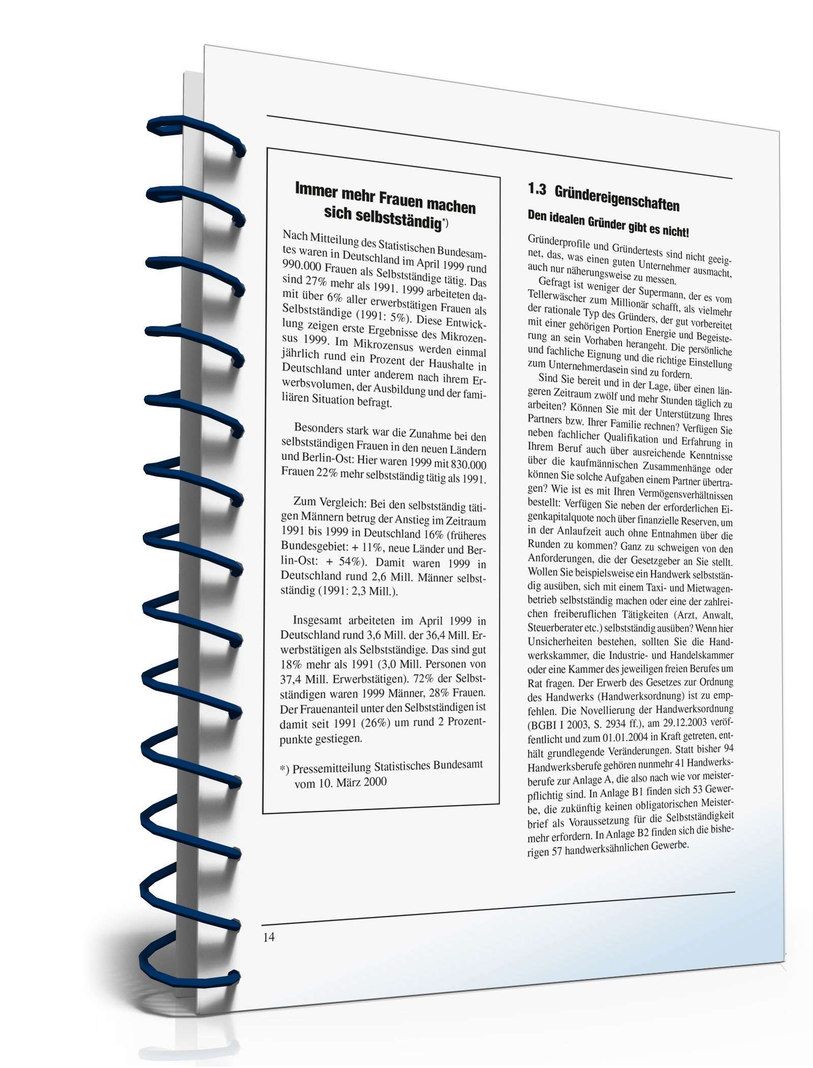 Businessplan erstellen PDF. Seite: 13