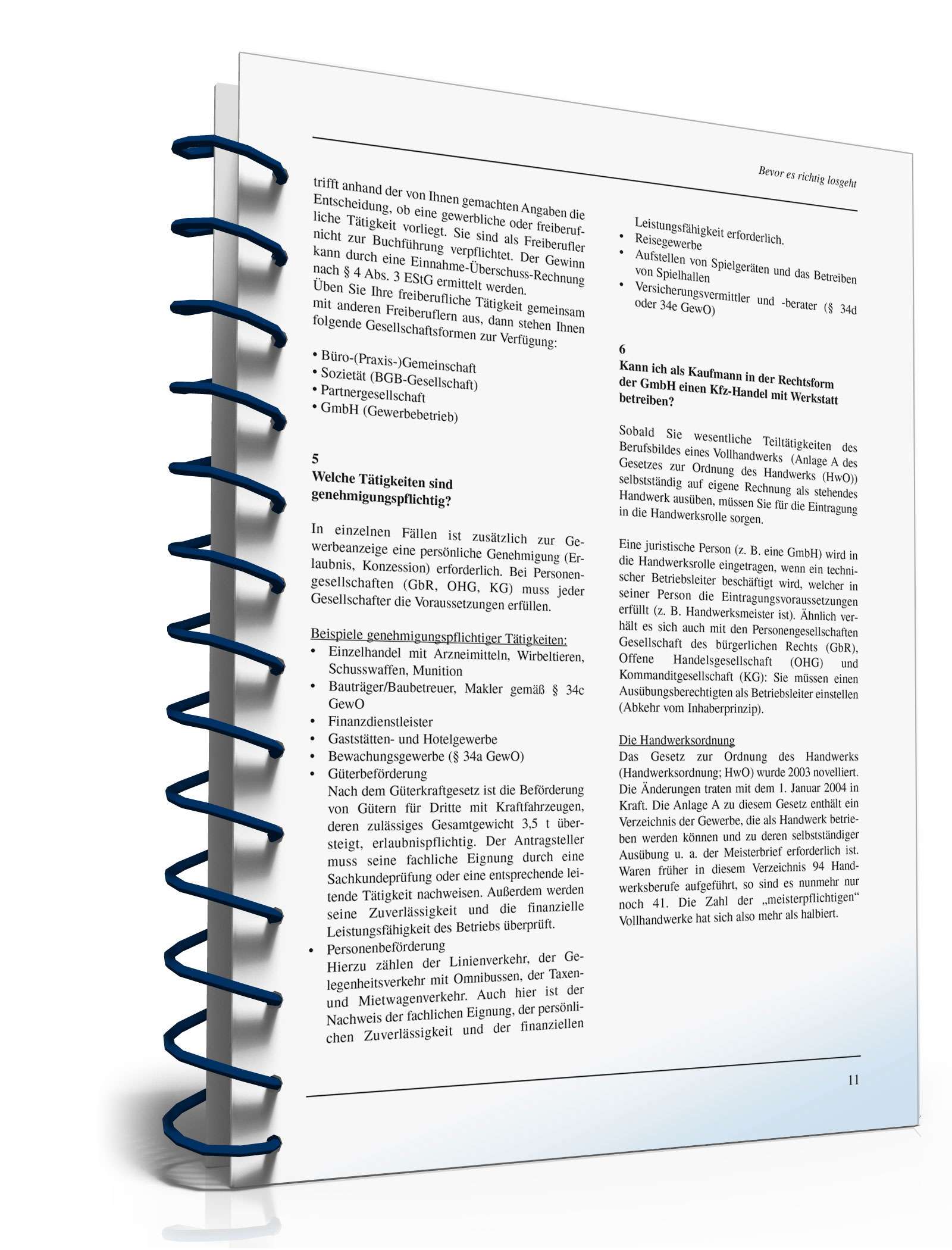 Ratgeber Unternehmensgründung PDF. Seite: 11