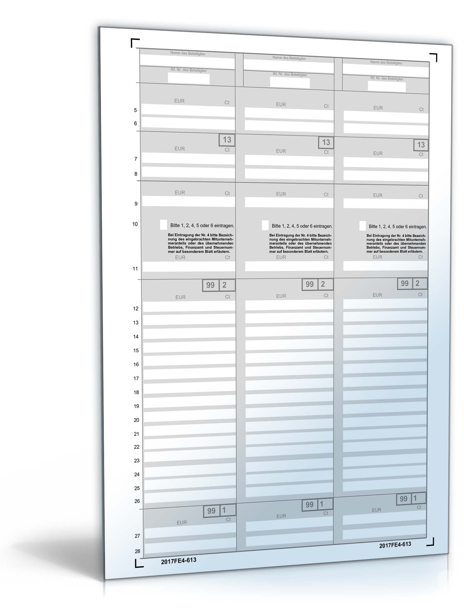 Anlage FE 4 2017 PDF. Seite: 3