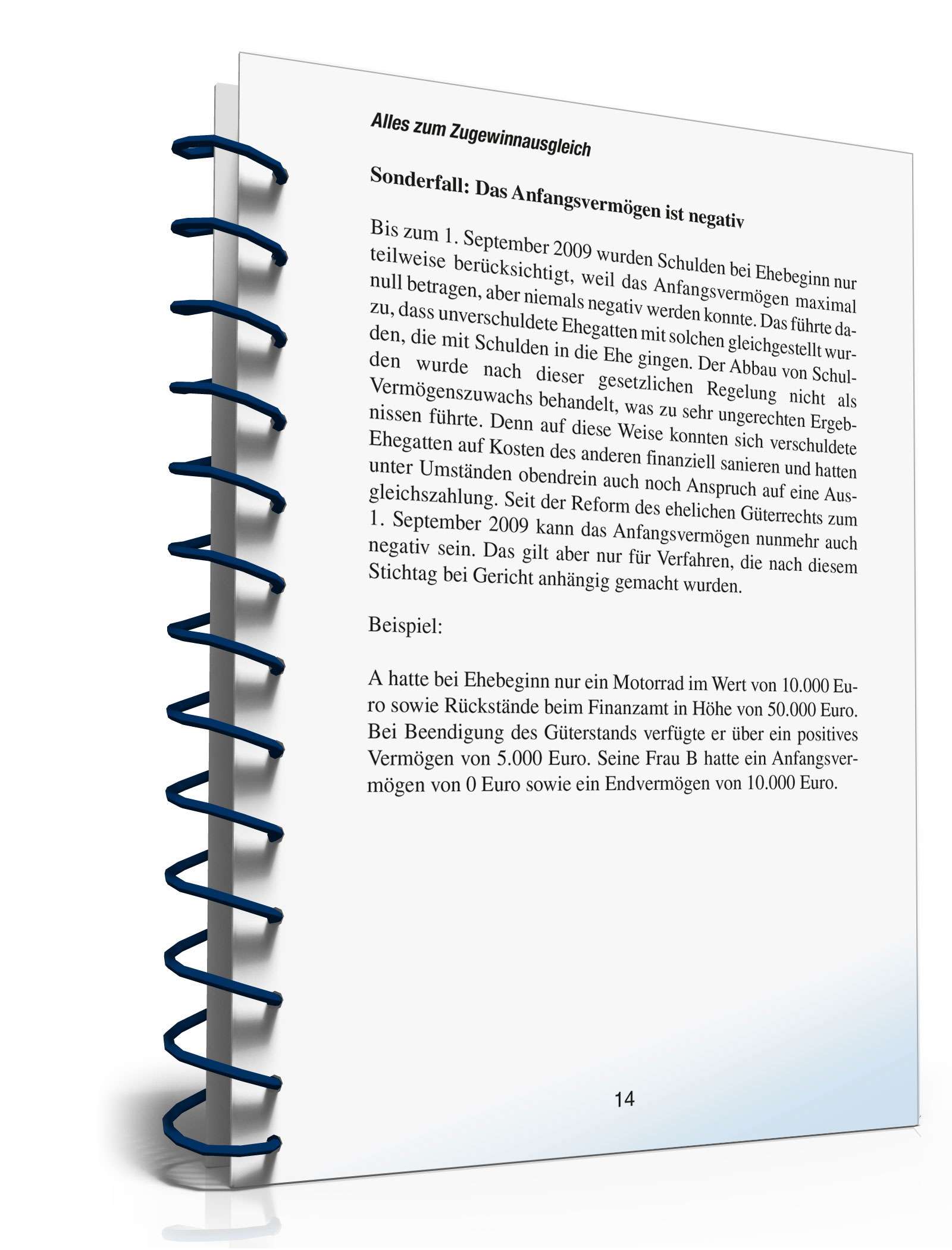 Ratgeber Eheliches Güterrecht PDF. Seite: 13