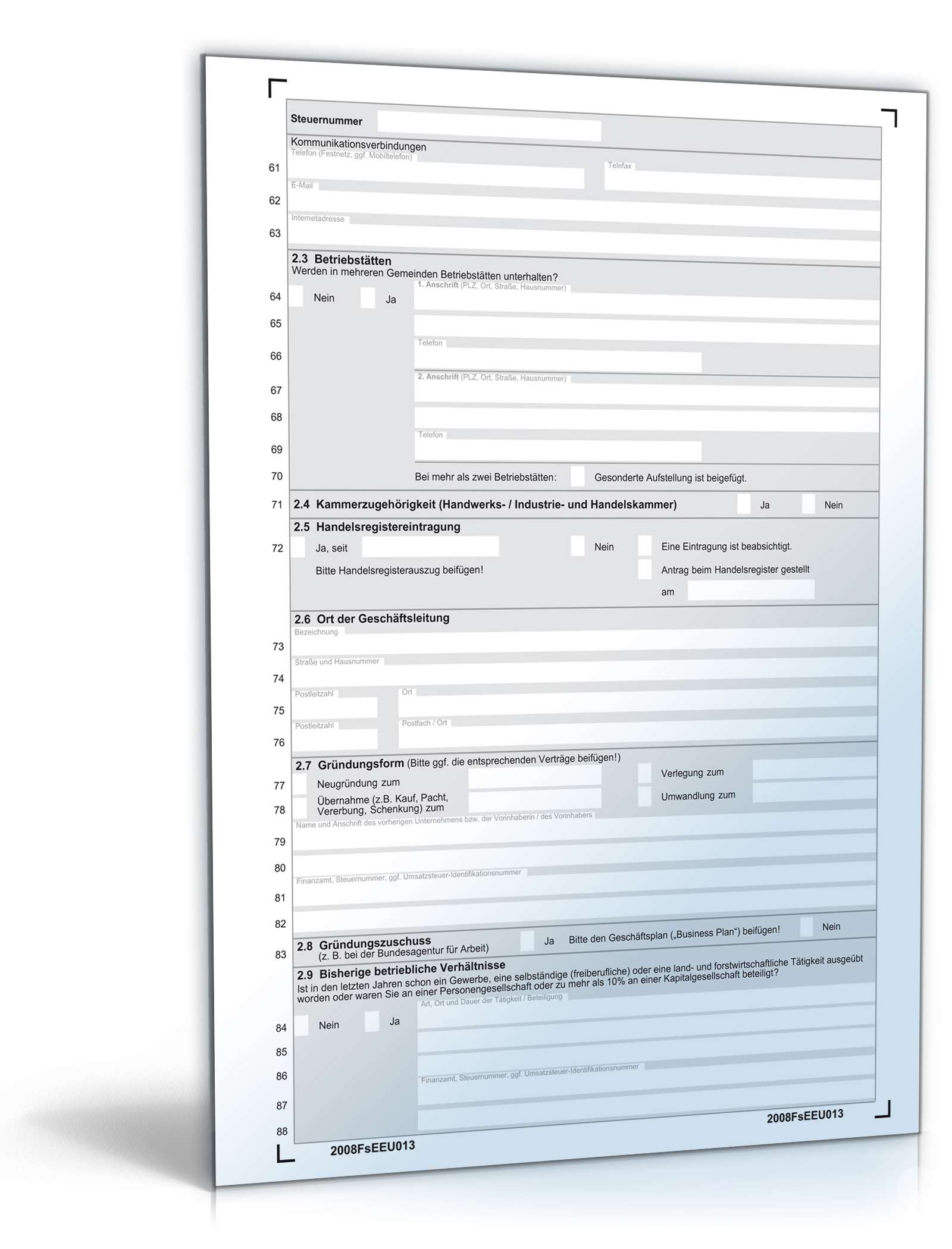 Fragebogen zur steuerlichen Erfassung 2008 PDF. Seite: 3