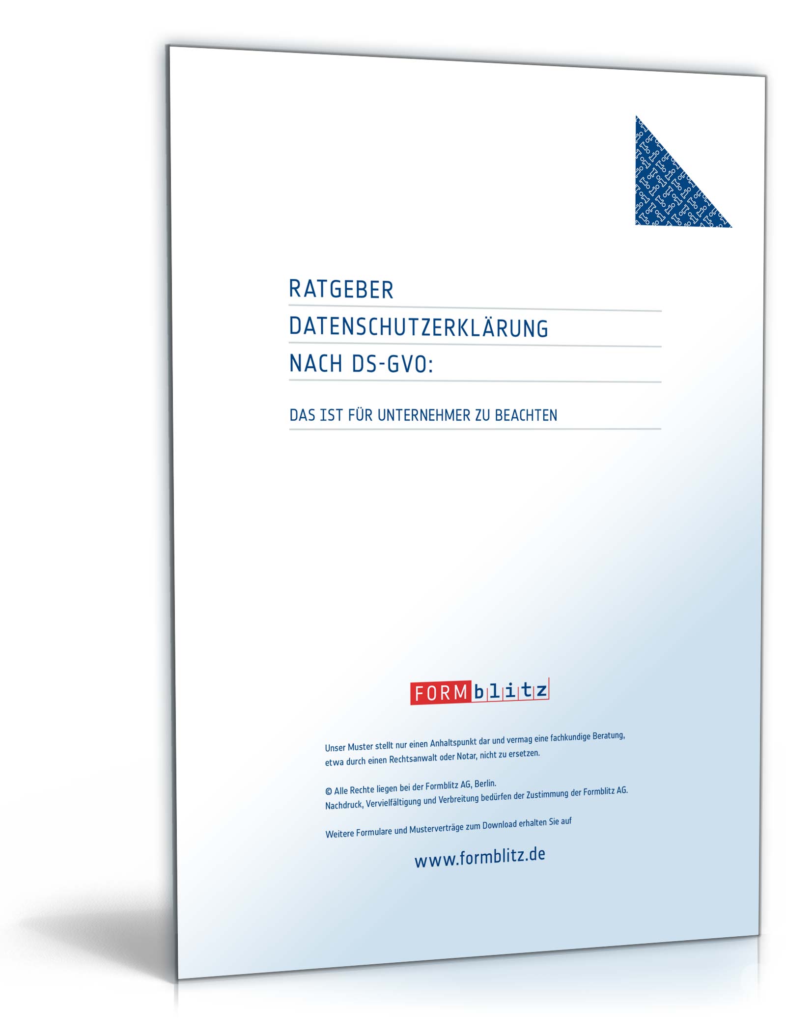 Ratgeber Datenschutzerklärung DSGVO PDF