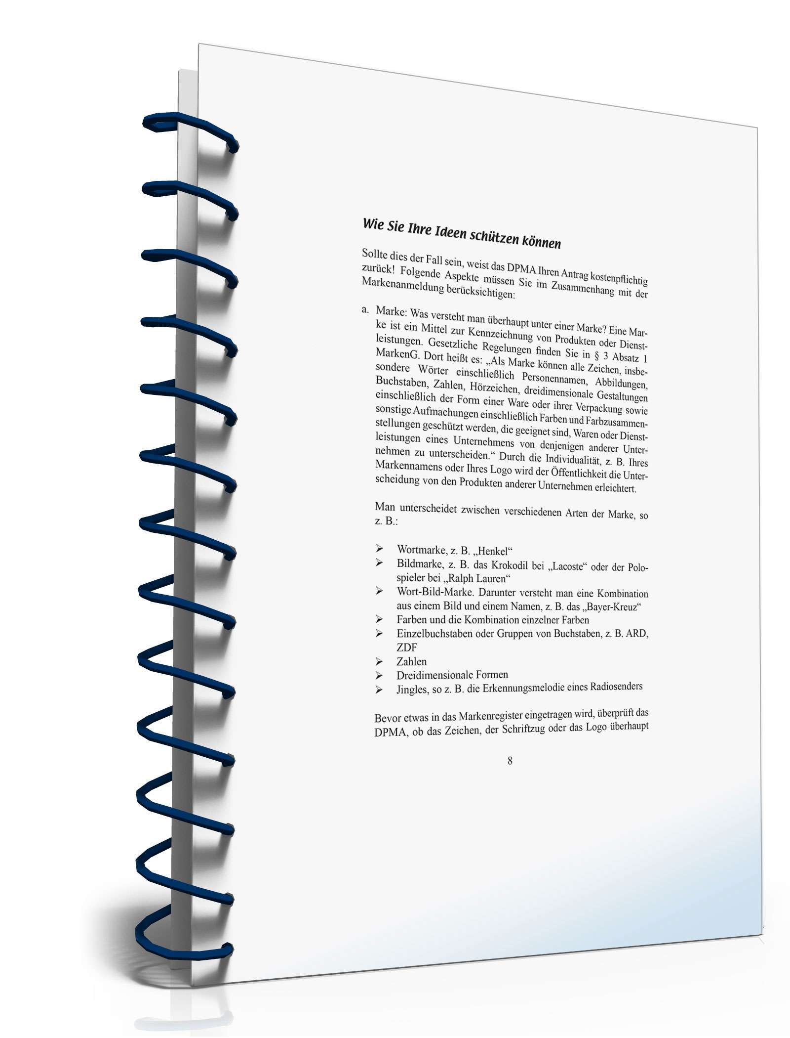 Wie Sie Ihre Ideen schützen können PDF. Seite: 8