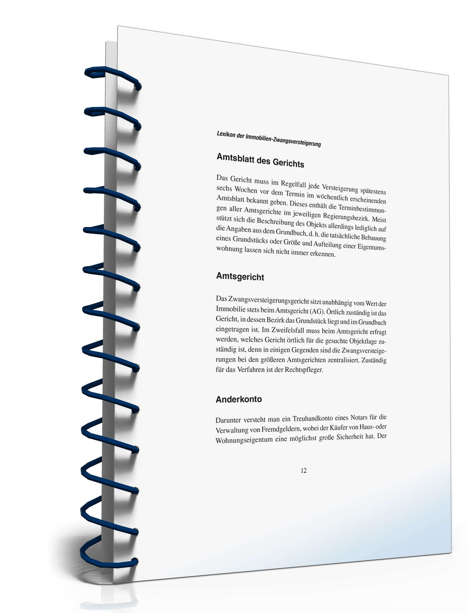 Zwangsversteigerung einer Immobilie PDF. Seite: 10