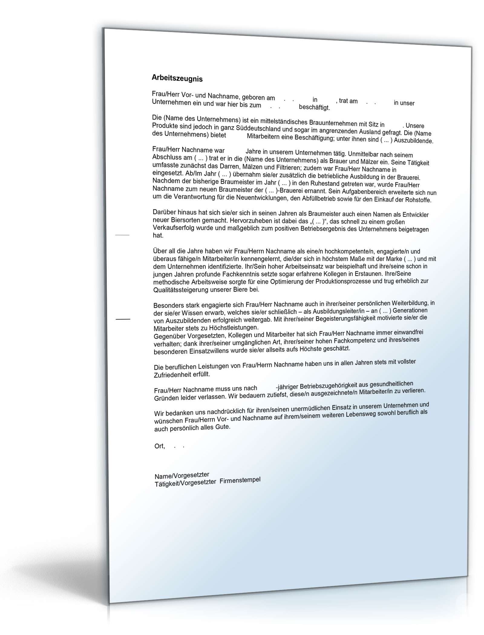 Arbeitszeugnis Brauer Excel. Seite: 4