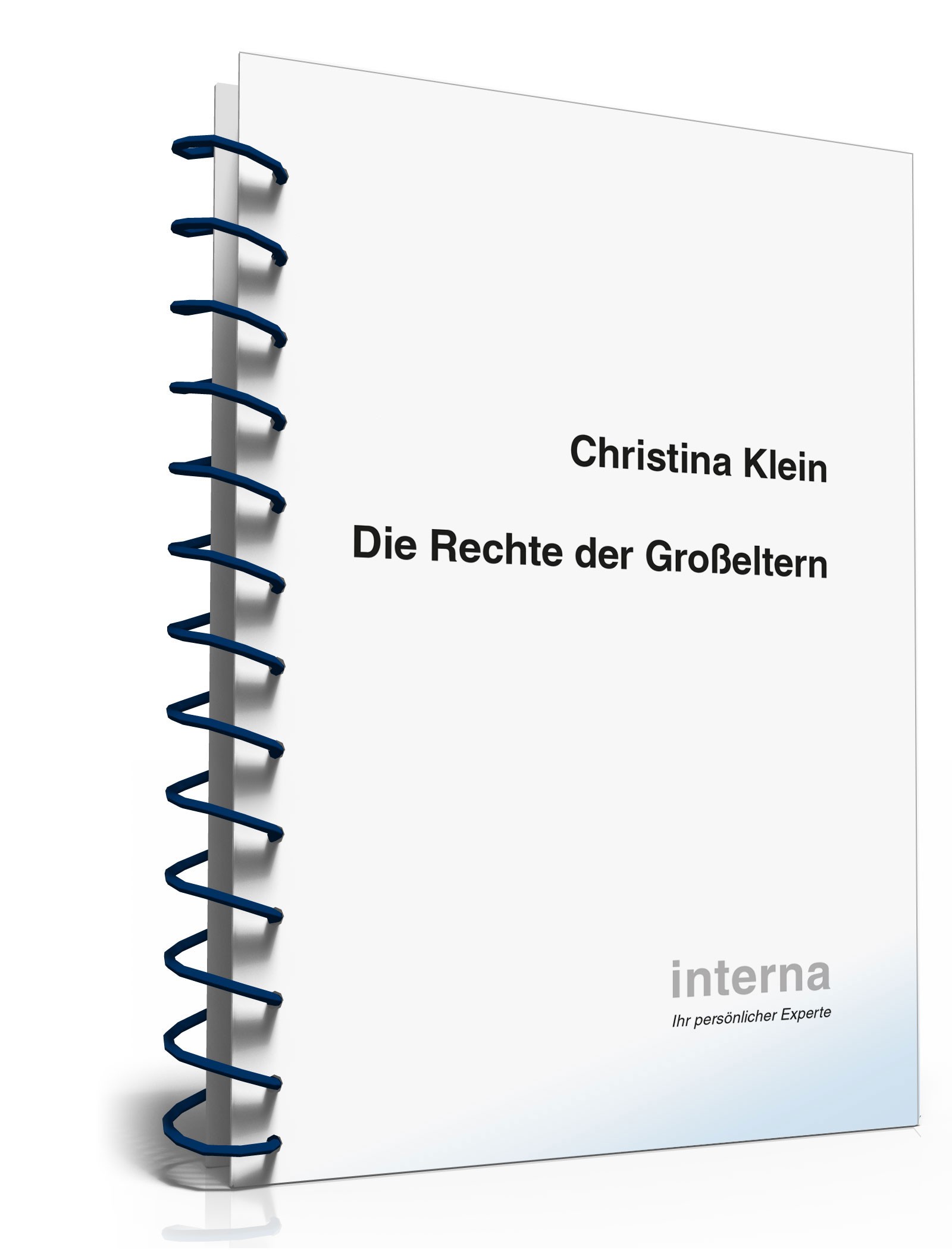 Ratgeber Recht Großeltern PDF