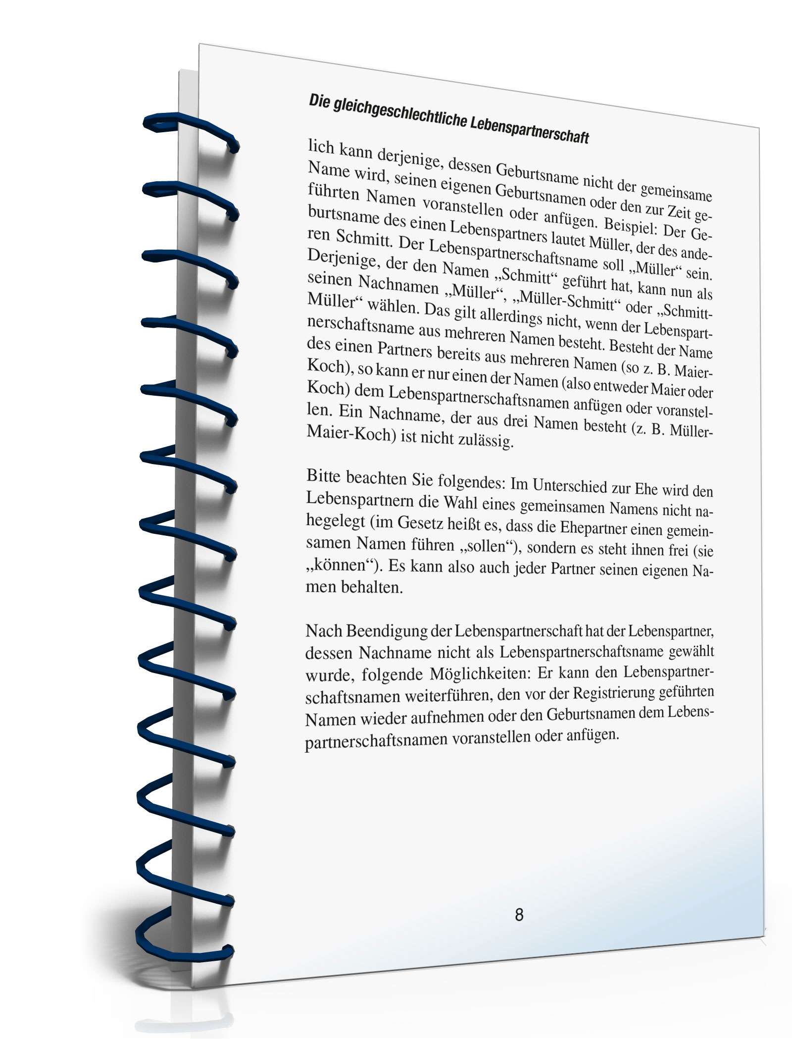 Ratgeber gleichgeschlechtliche Lebenspartnerschaft PDF. Seite: 8