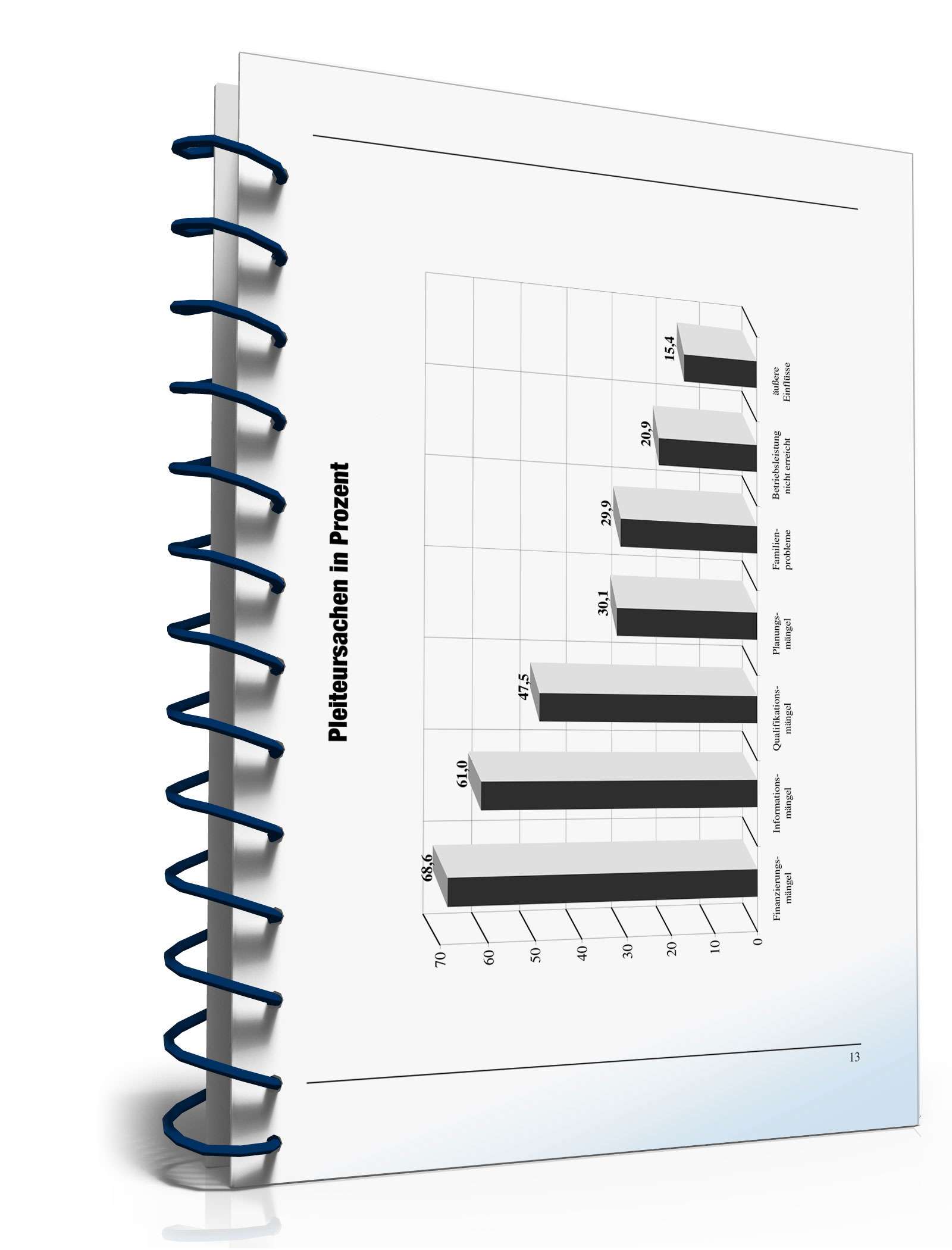 Businessplan erstellen PDF. Seite: 12