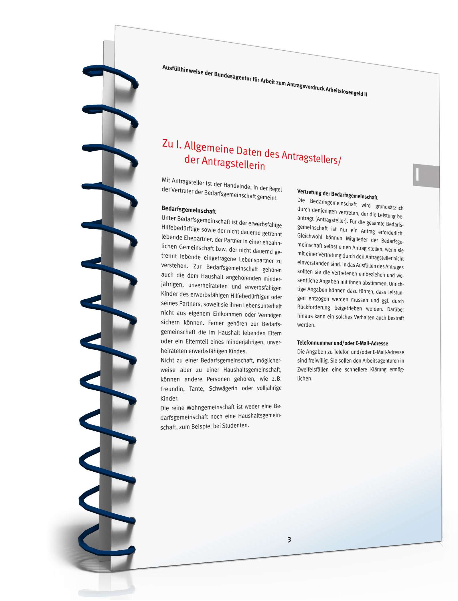 Ausfüllhinweise Antrag Bürgergeld PDF. Seite: 3