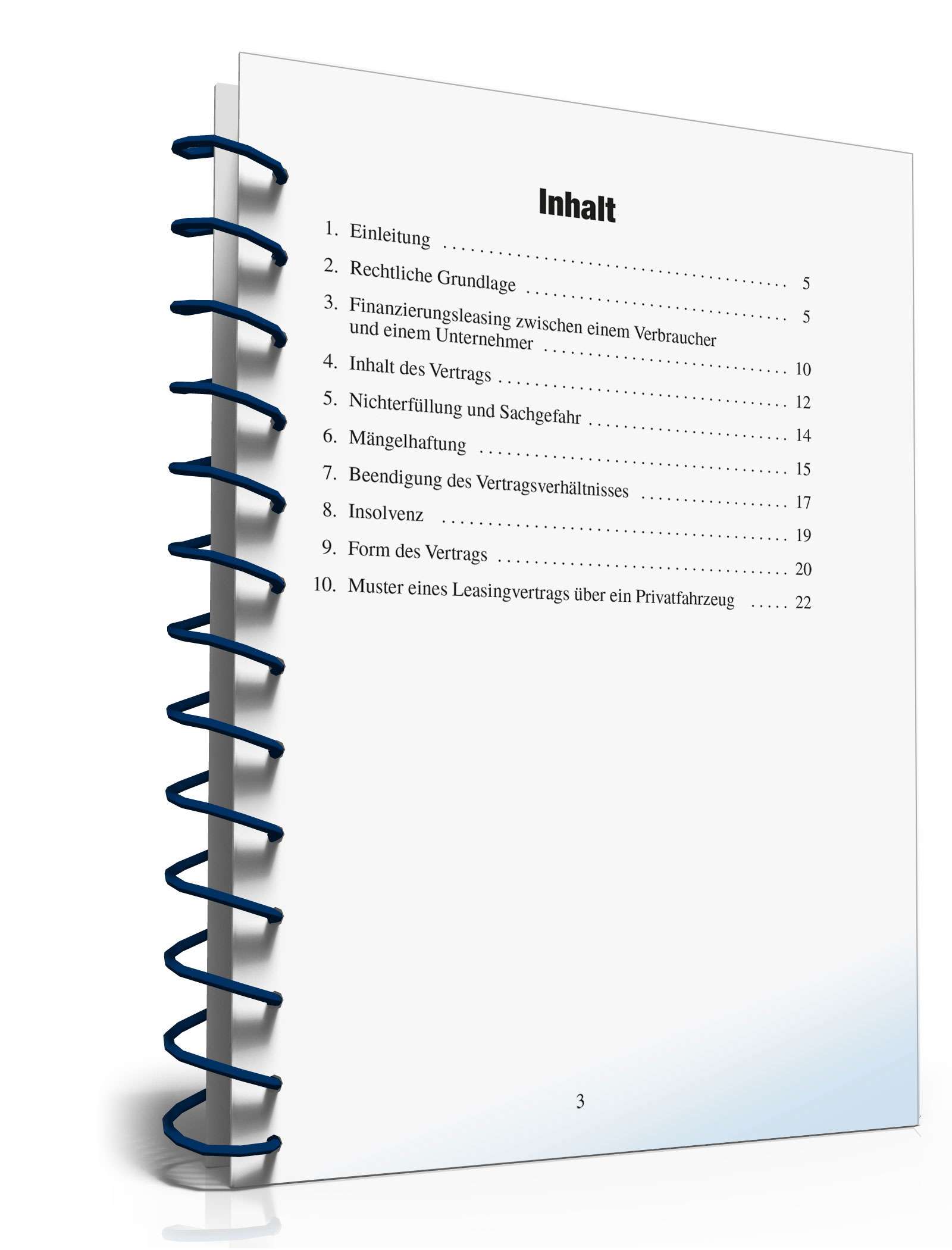 Leasingvertrag rechtssicher abschließen PDF. Seite: 3